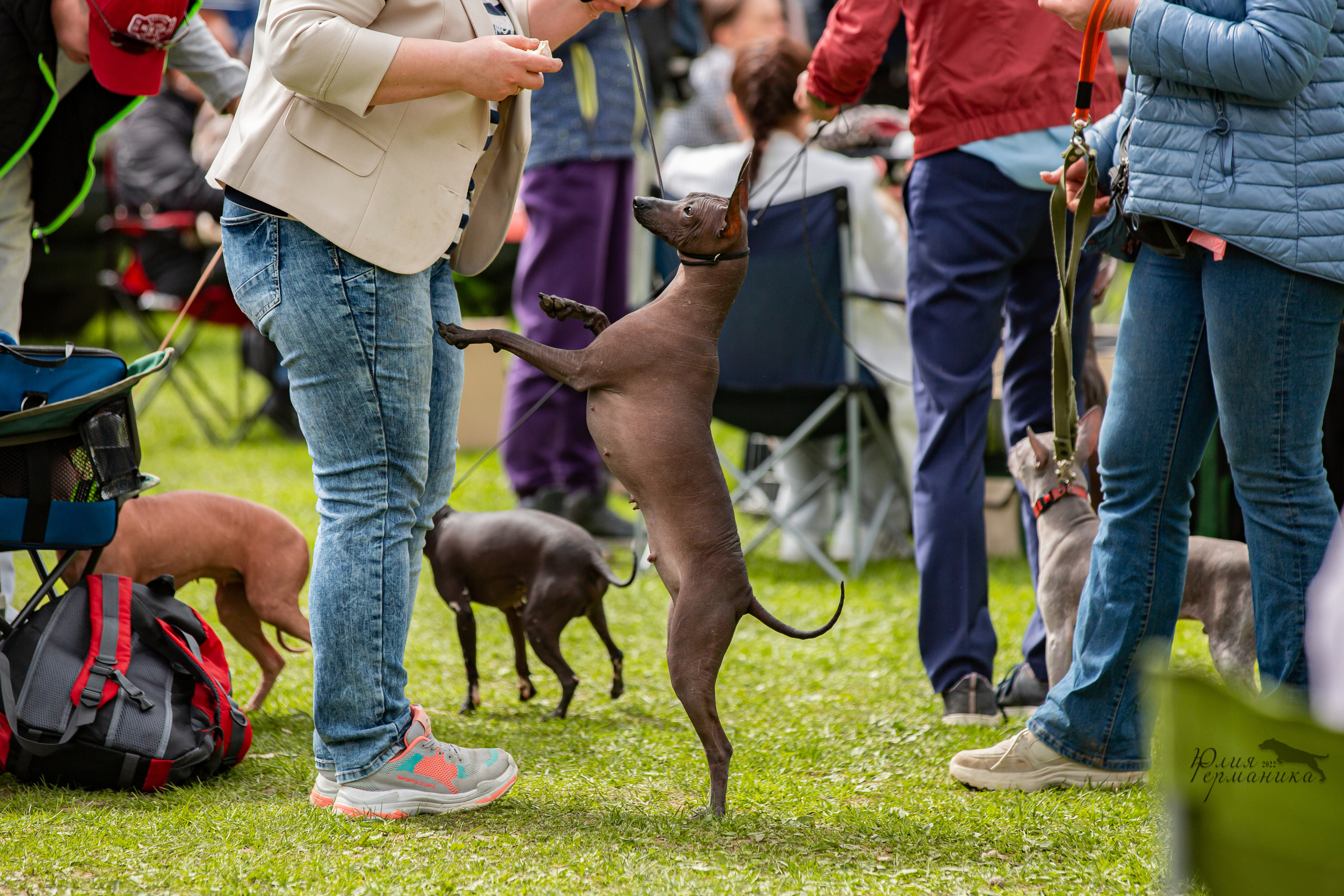 Пушкино 2хЧРКФ 14 мая 2022. Фотограф-анималист Юлия Германика