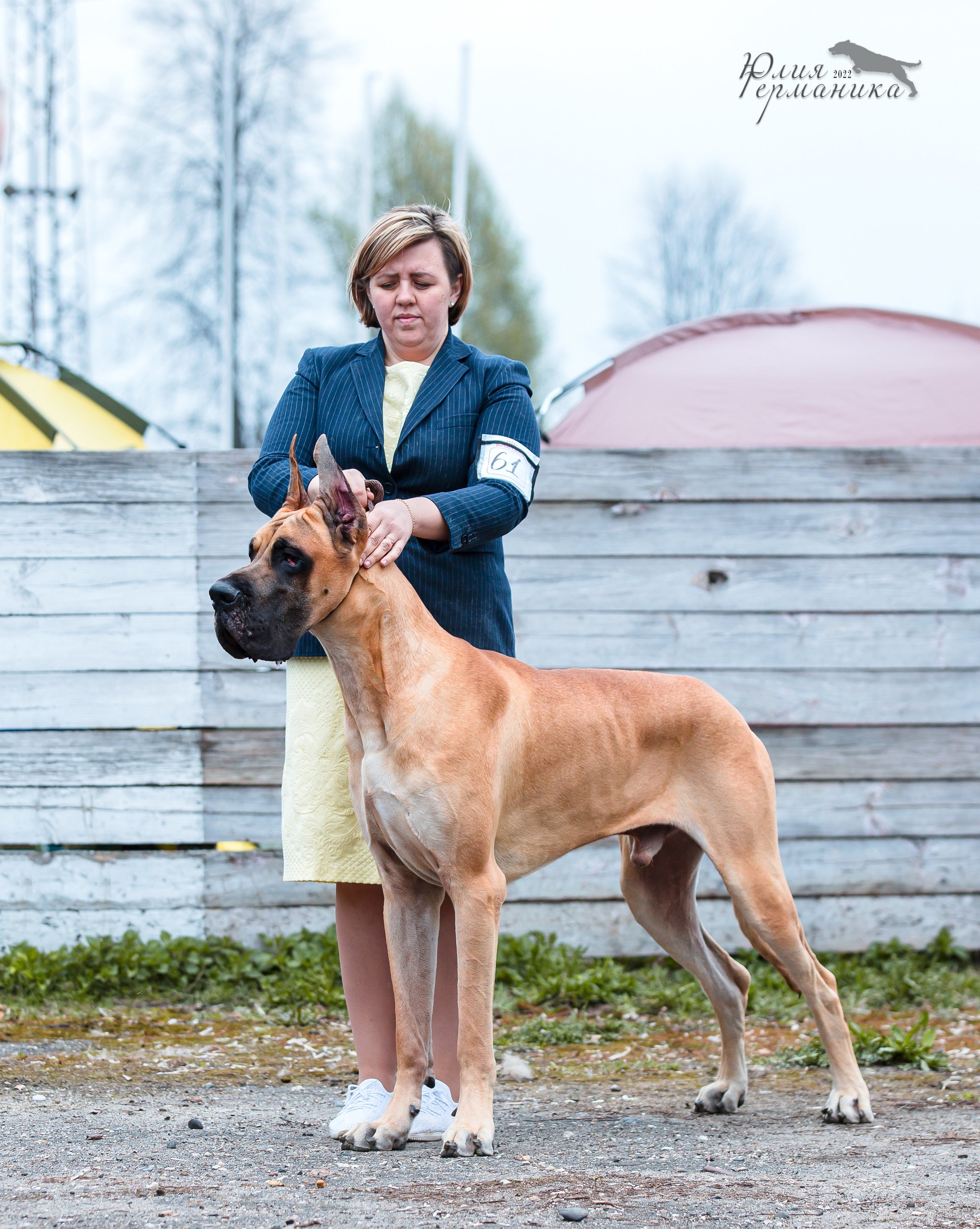 Александров 2хСАС 8 мая 2022. Фотограф-анималист Юлия Германика