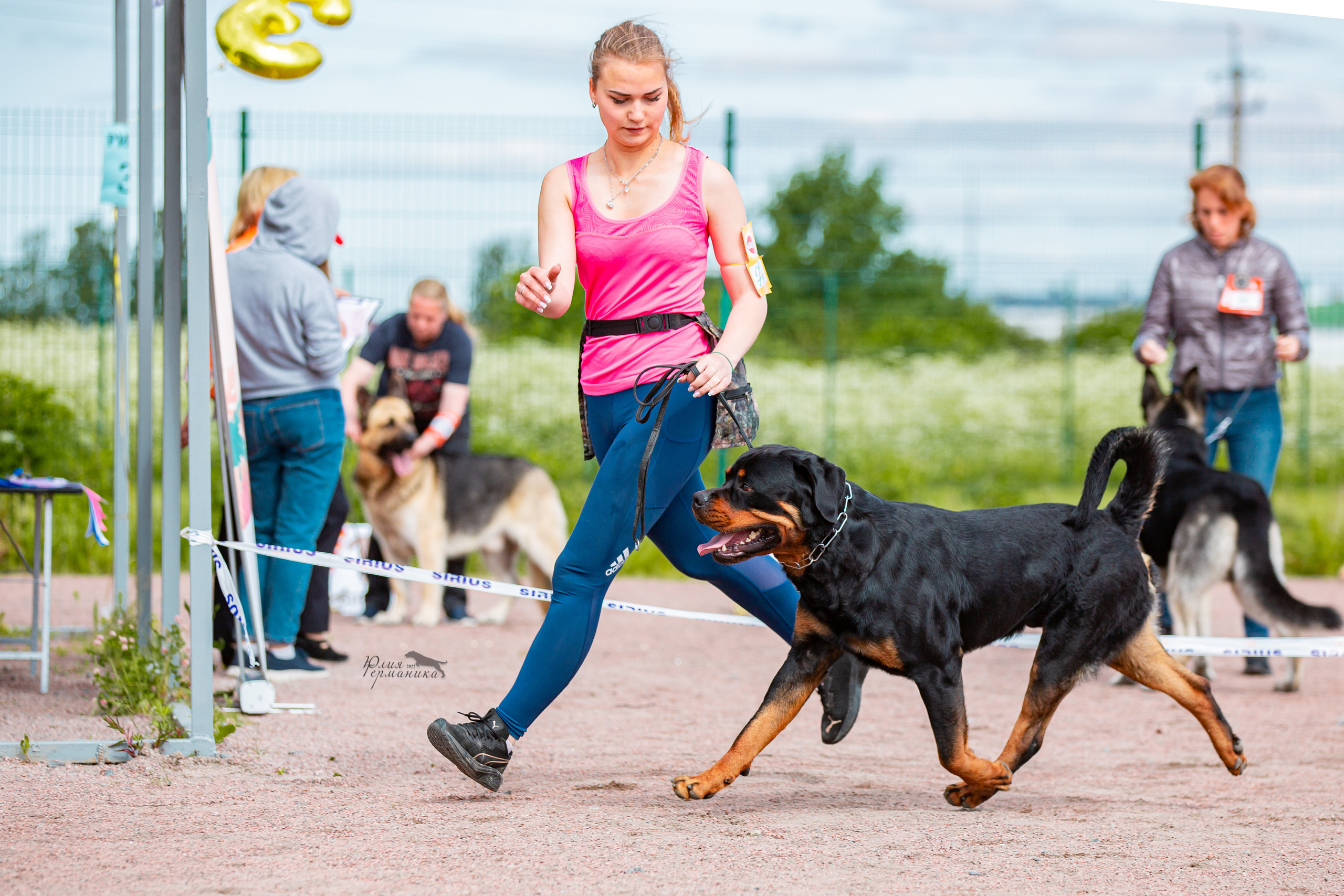 Смоленск 12.06,   Ховрино 13.06,    Питер 18.06 2022. Фотограф-анималист Юлия Германика