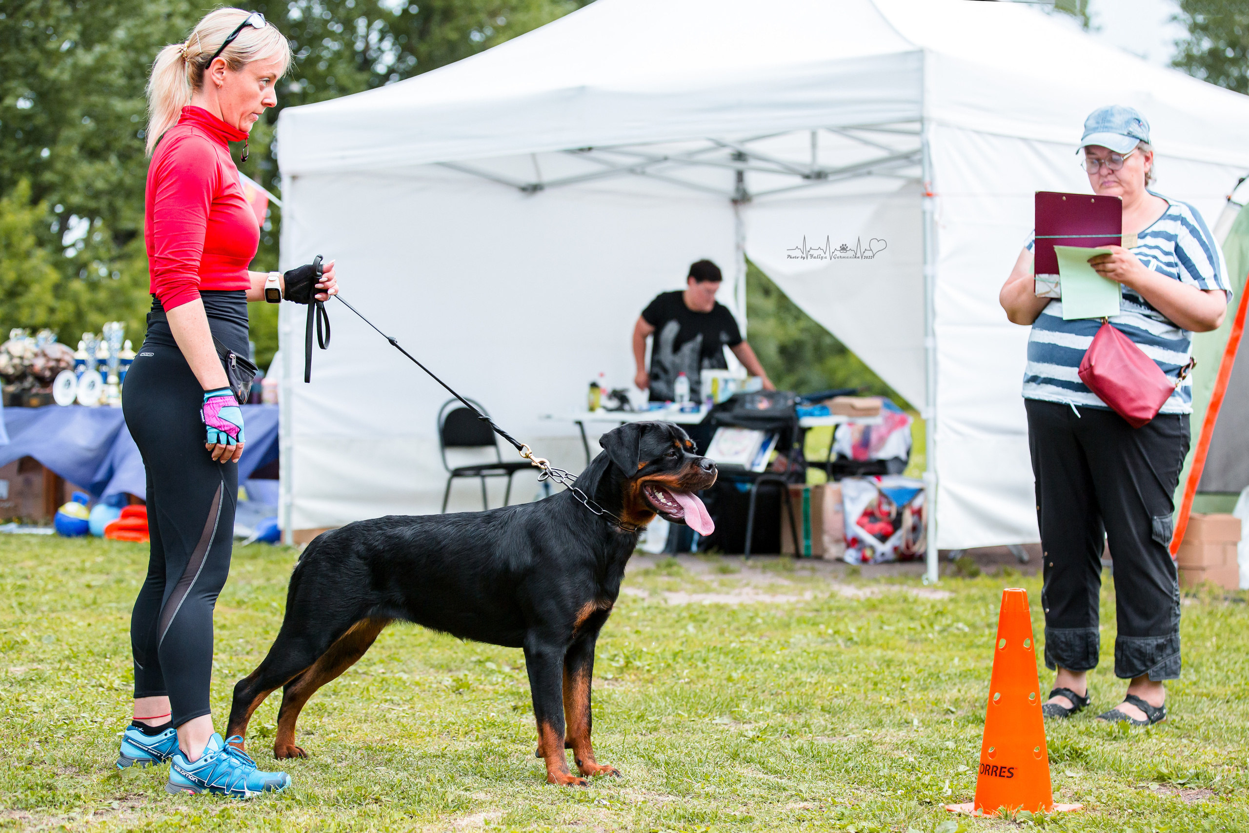 Санкт-Петербург моно ротвейлеров 23.07.2022. Фотограф-анималист Юлия Германика