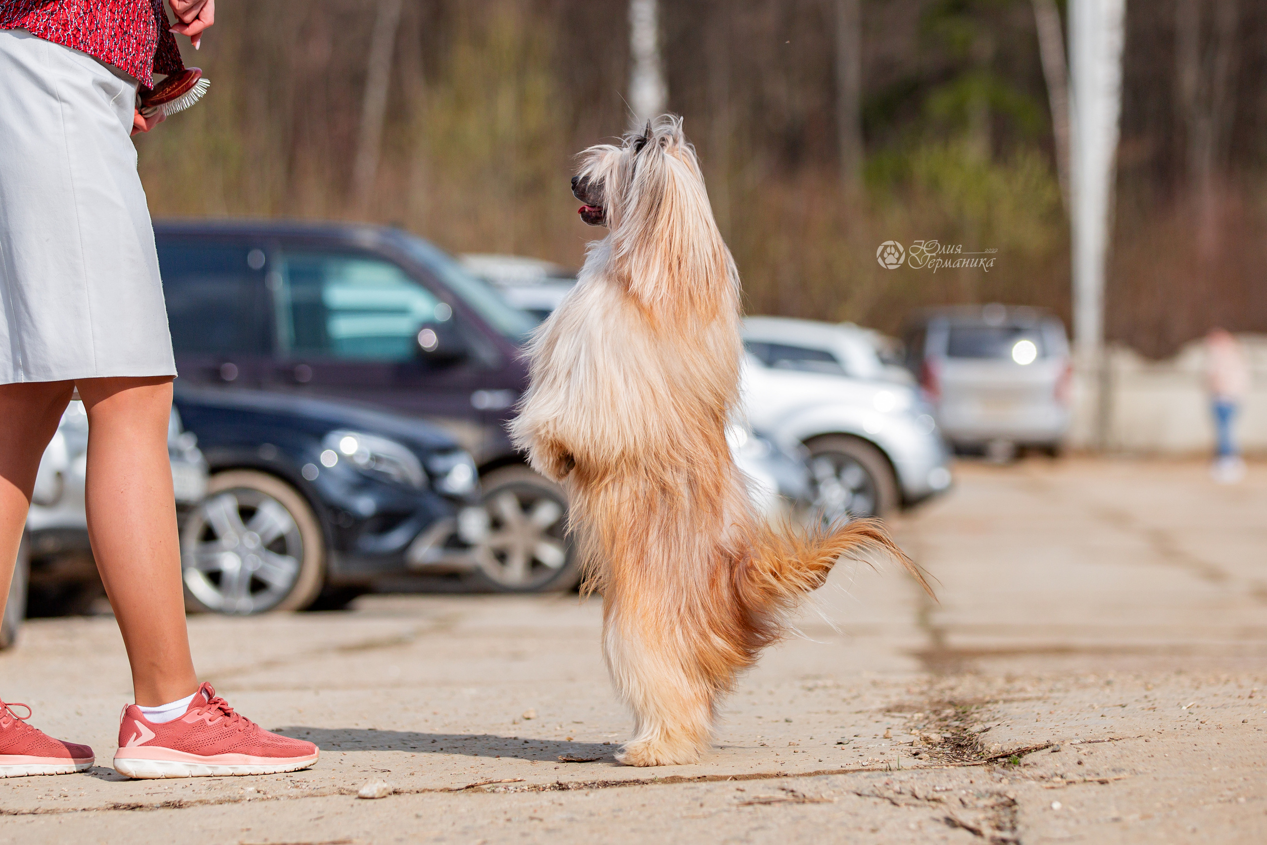 Сергиев Посад 23.04.2022. Фотограф-анималист Юлия Германика
