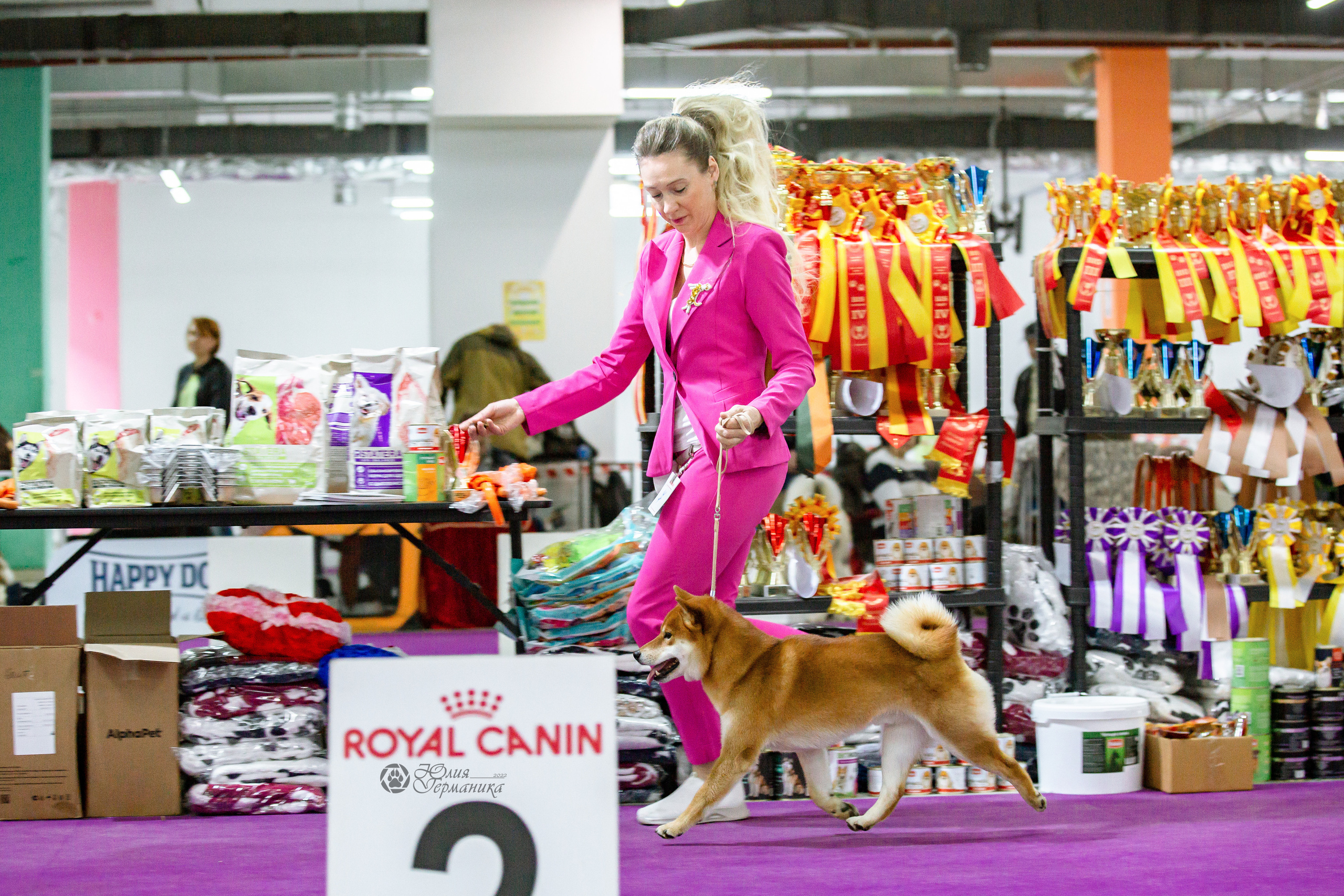 Чайна-Таун 16-17 апреля 2022. Фотограф-анималист Юлия Германика