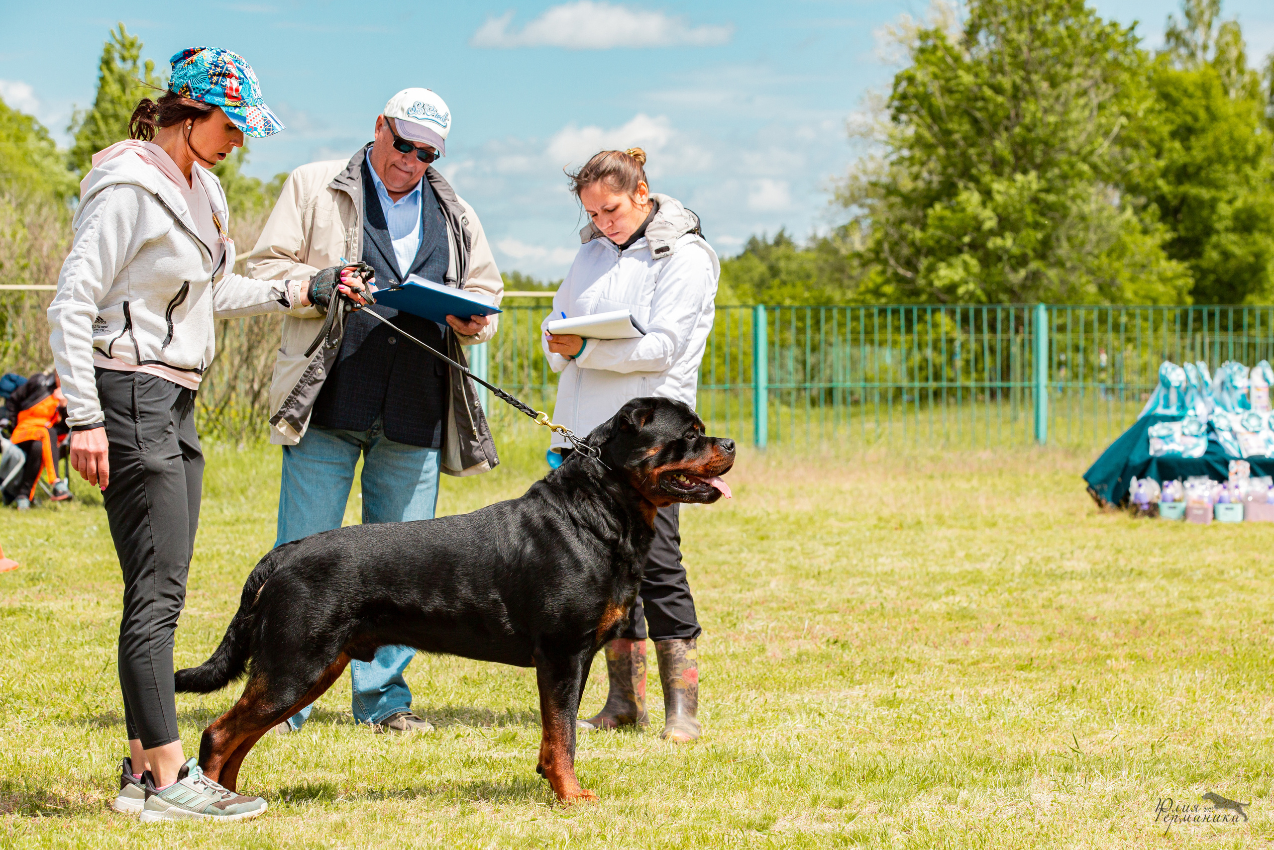 Воронеж моно ротвейлеров 28-29 мая 2022. Фотограф-анималист Юлия Германика