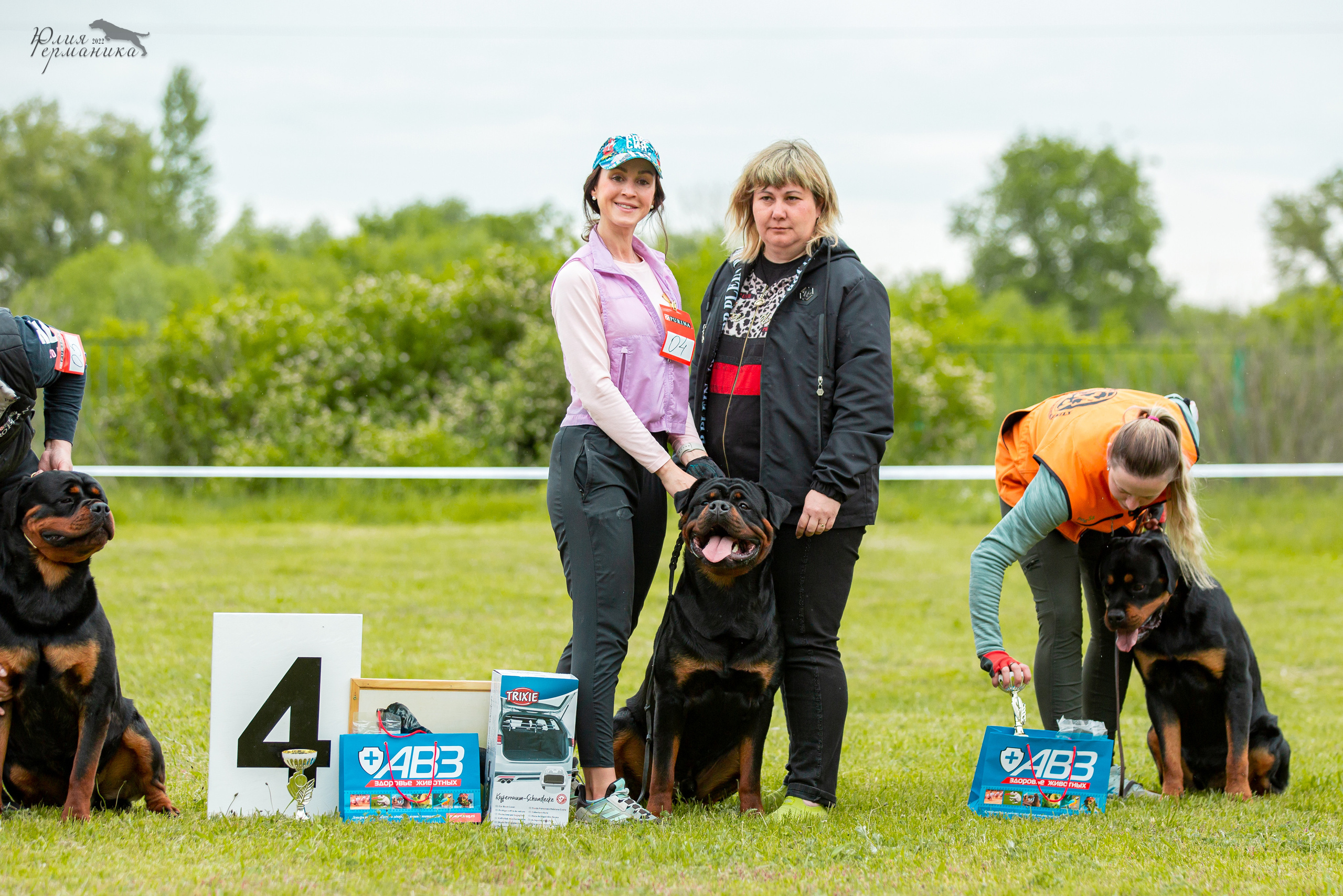 Воронеж моно ротвейлеров 28-29 мая 2022. Фотограф-анималист Юлия Германика