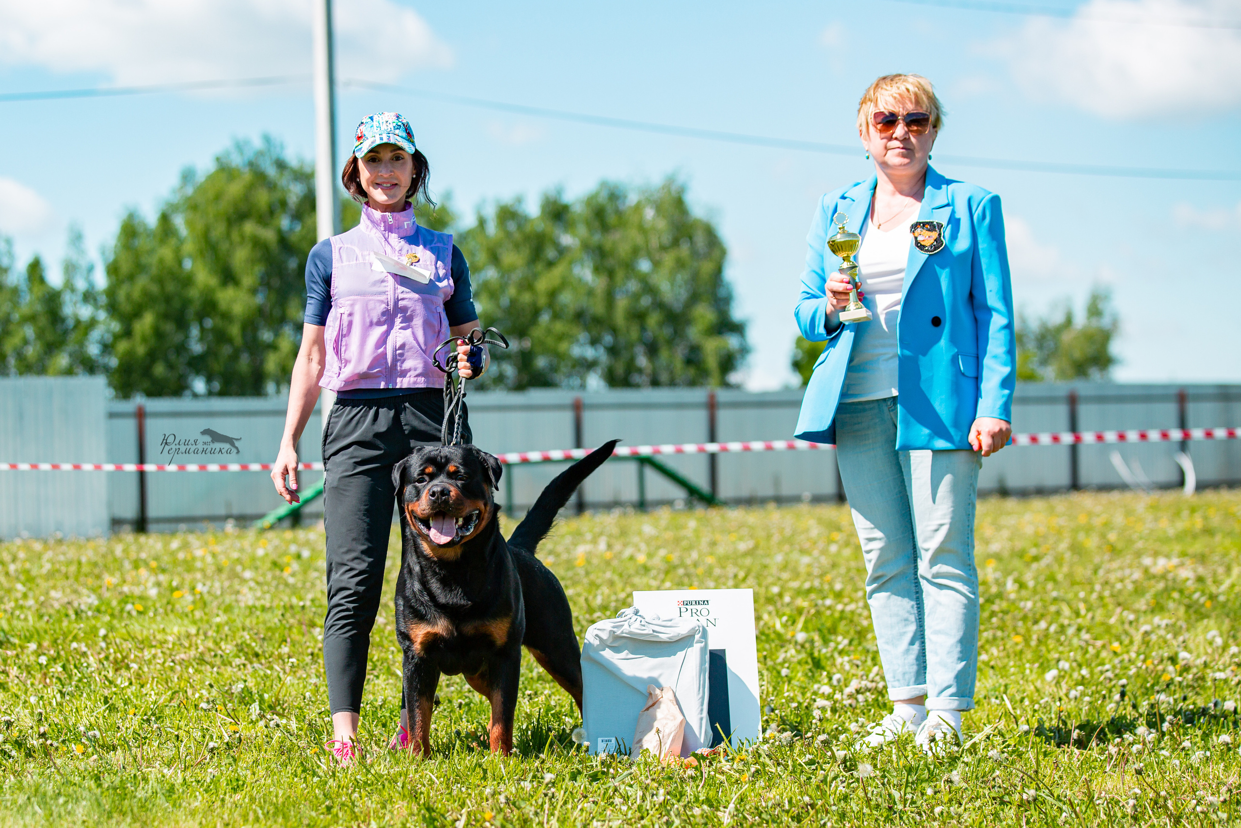 Нижний Новгород моно ротвейлеров 4 июня 2022. Фотограф-анималист Юлия Германика