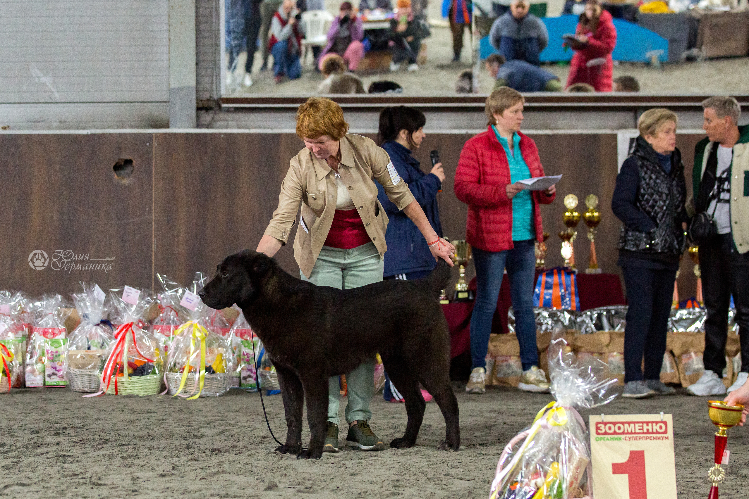 Националка САО+КЧК 24 апреля 2022. Фотограф-анималист Юлия Германика