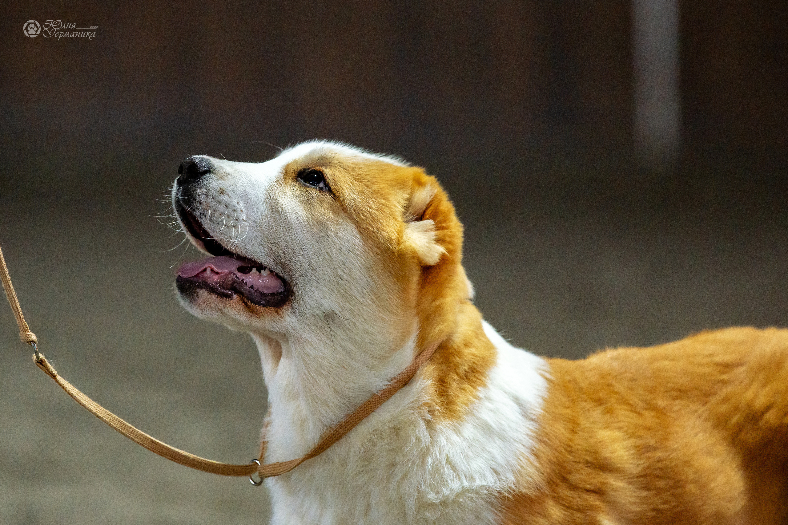 Националка САО+КЧК 24 апреля 2022