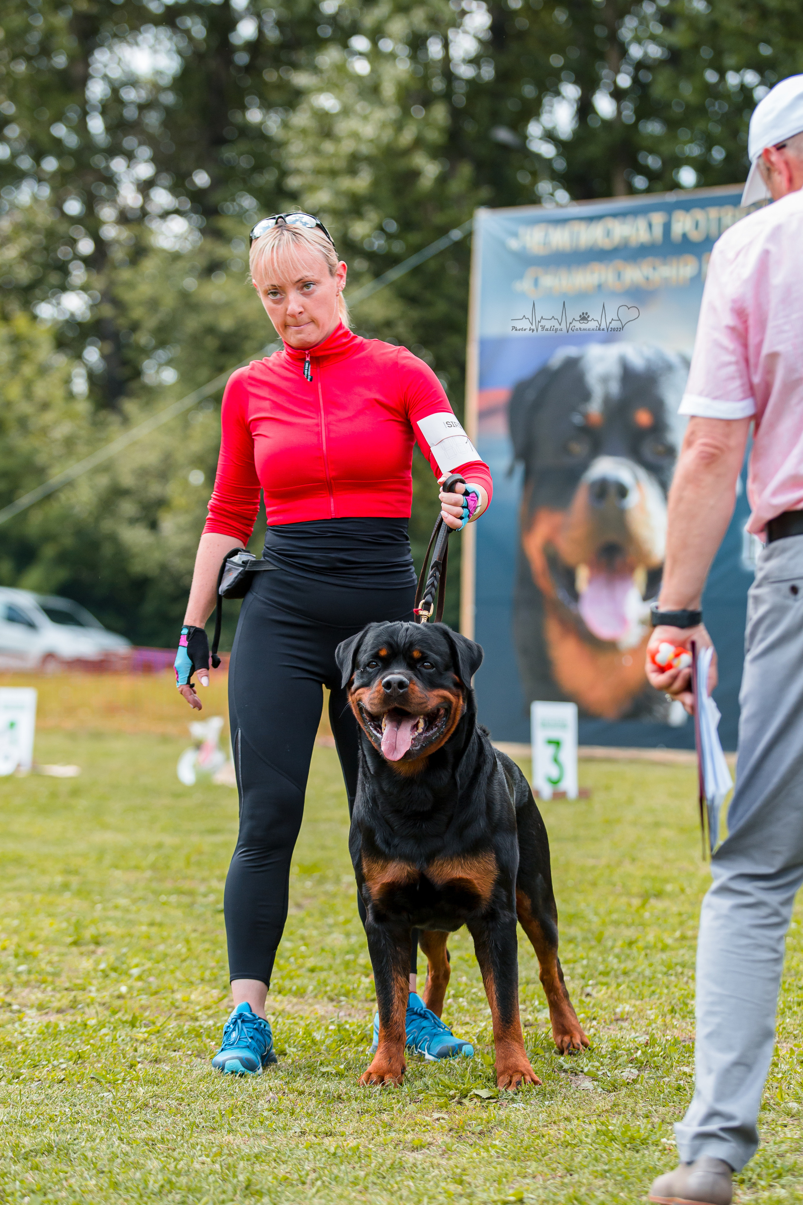 Санкт-Петербург моно ротвейлеров 23.07.2022. Фотограф-анималист Юлия Германика