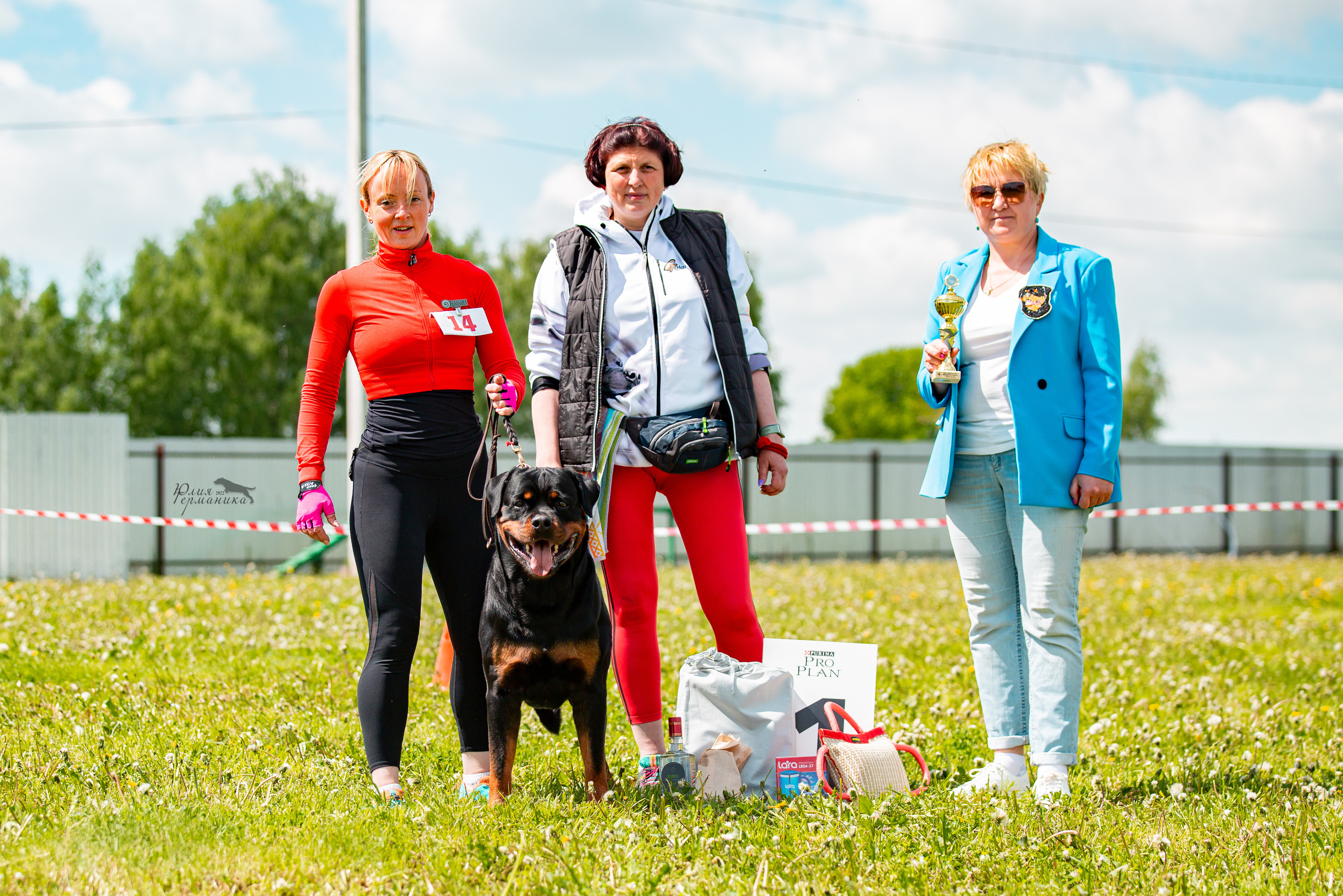 Нижний Новгород моно ротвейлеров 4 июня 2022. Фотограф-анималист Юлия Германика