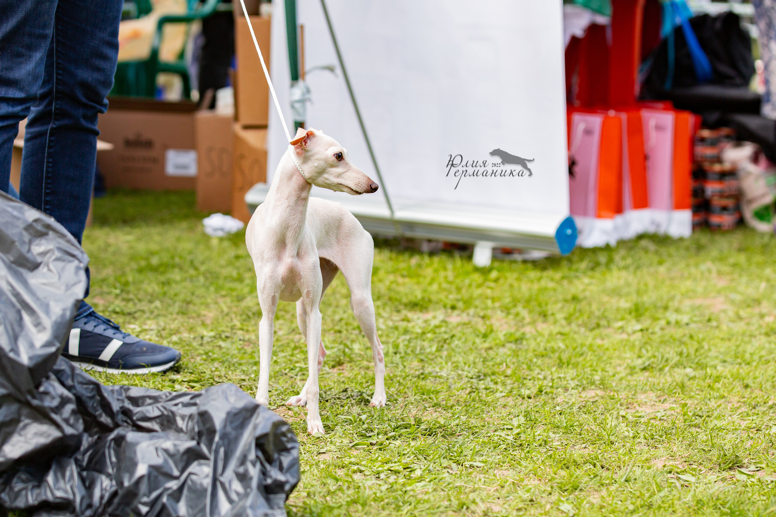 Пушкино 2хЧРКФ 14 мая 2022. Фотограф-анималист Юлия Германика