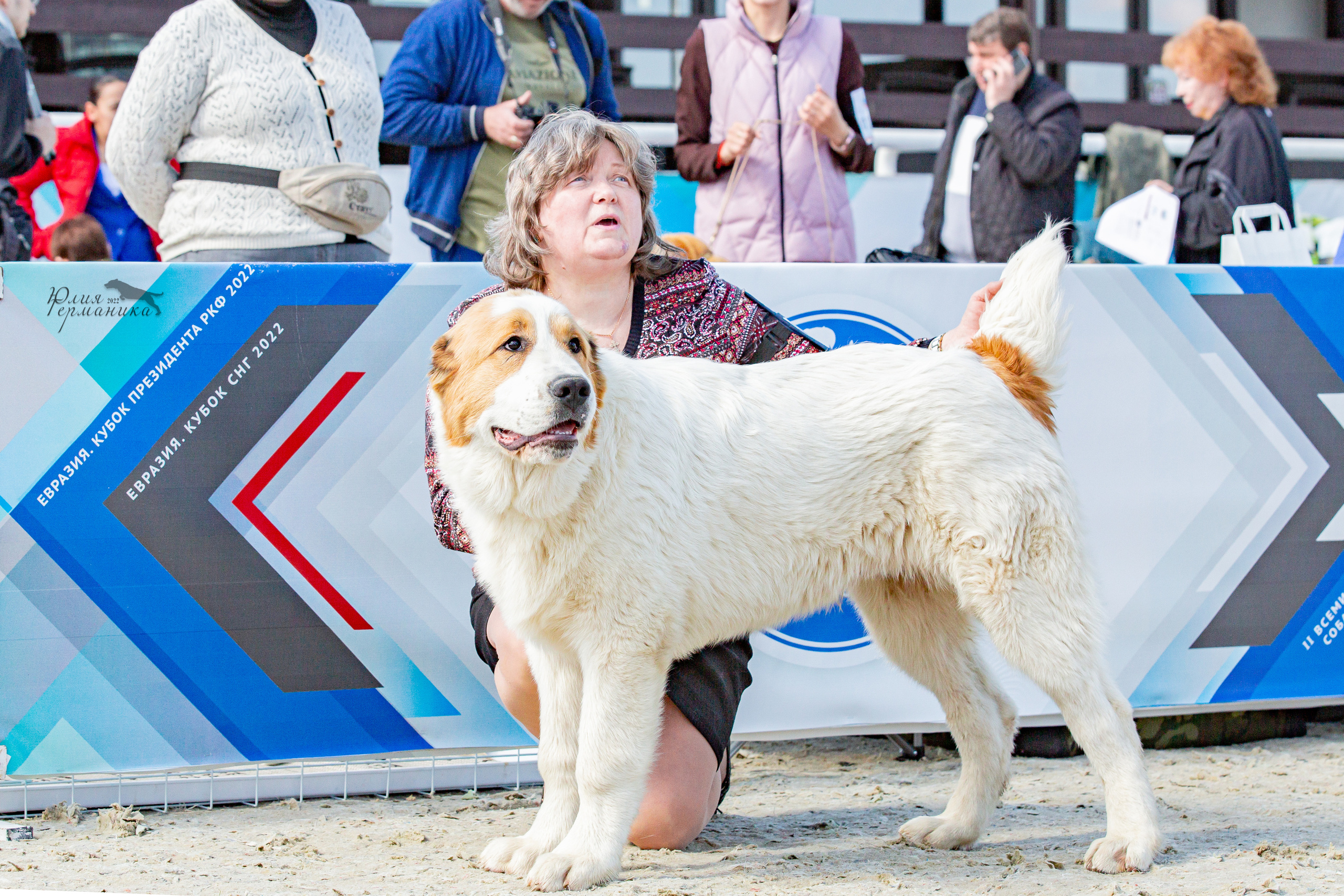 Евразия 21-22 мая 2022. Фотограф-анималист Юлия Германика