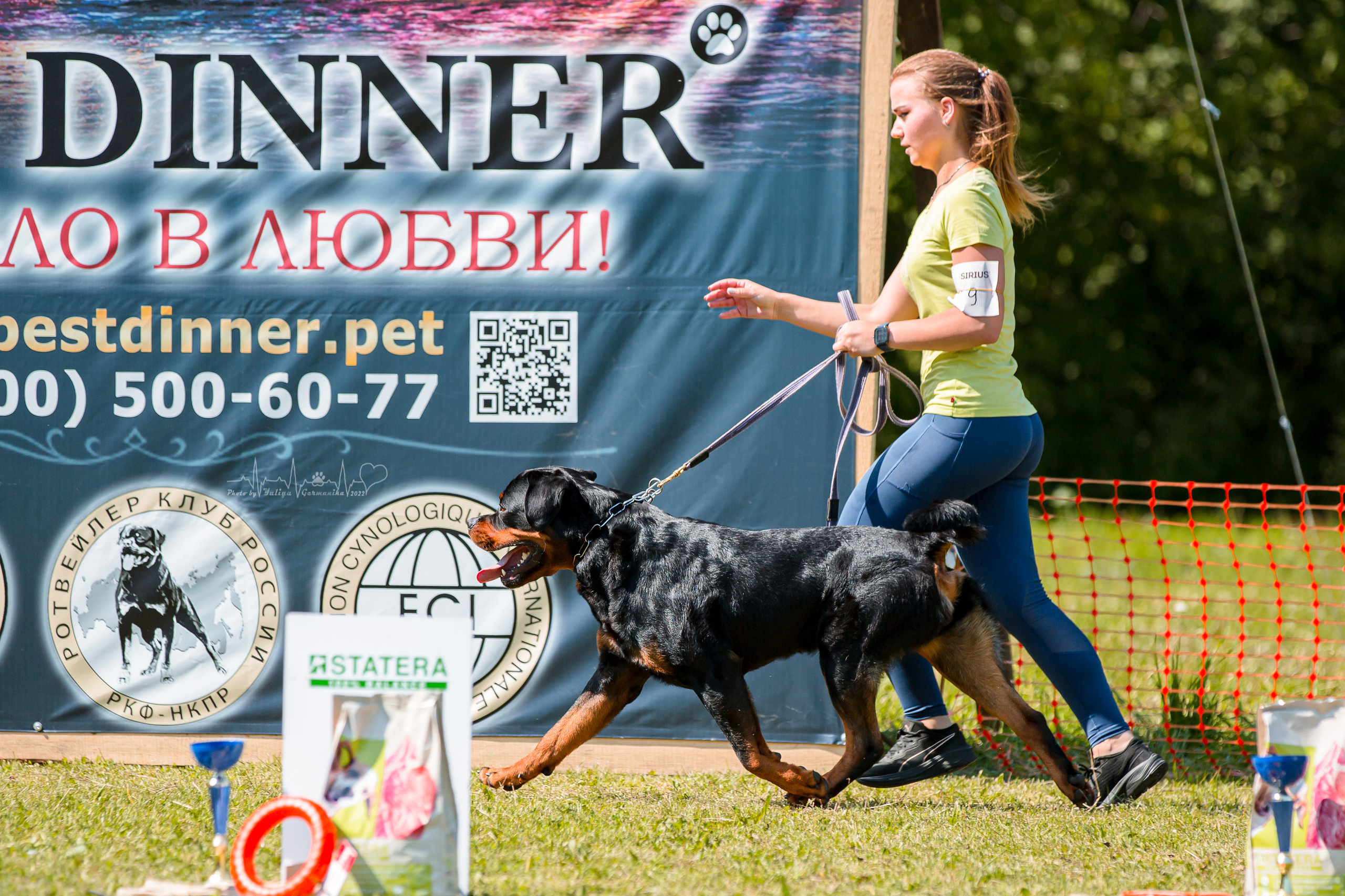 Санкт-Петербург моно ротвейлеров 23.07.2022. Фотограф-анималист Юлия Германика