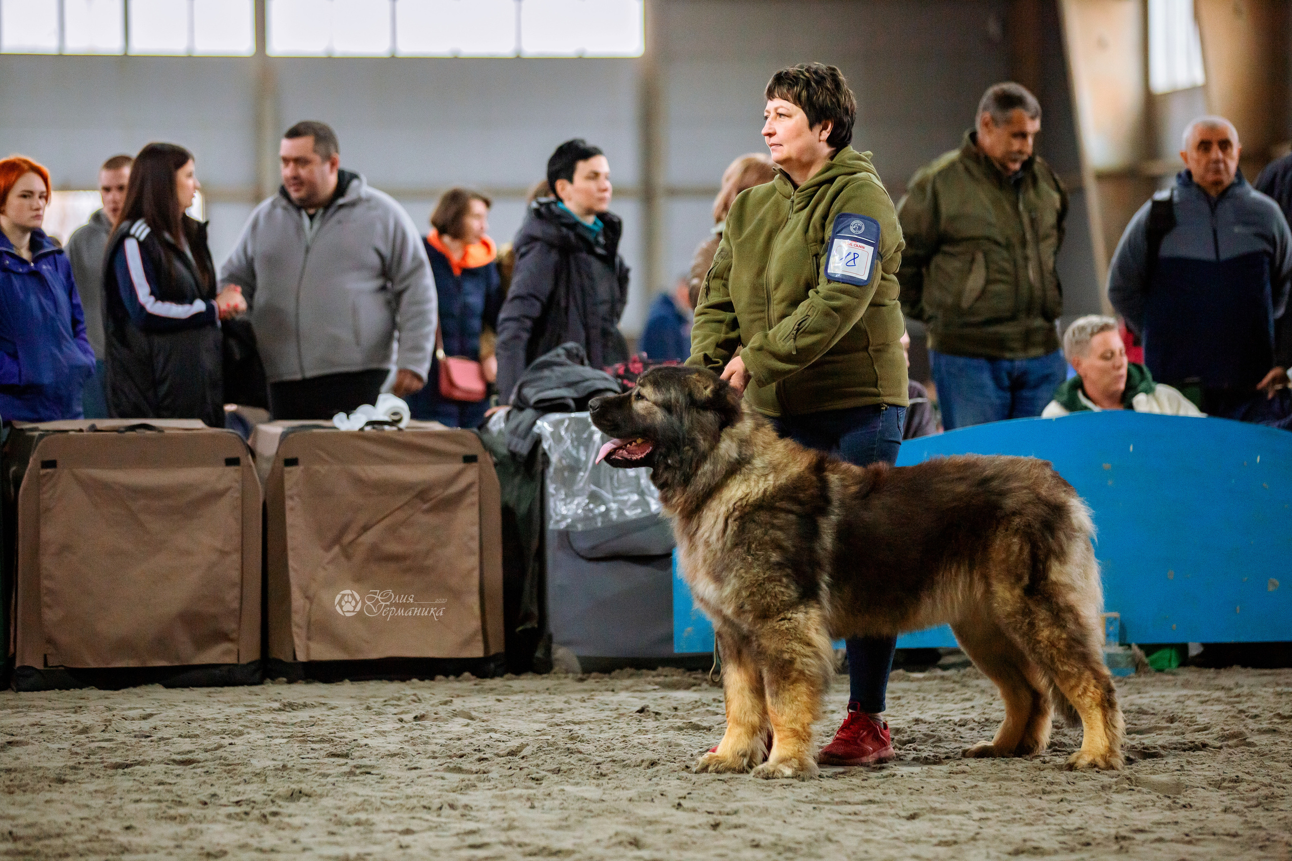 Националка САО+КЧК 24 апреля 2022. Фотограф-анималист Юлия Германика