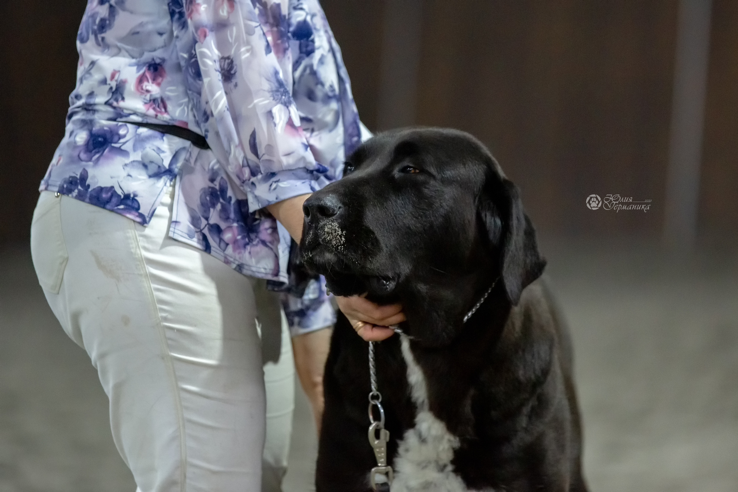 Националка САО+КЧК 24 апреля 2022. Фотограф-анималист Юлия Германика