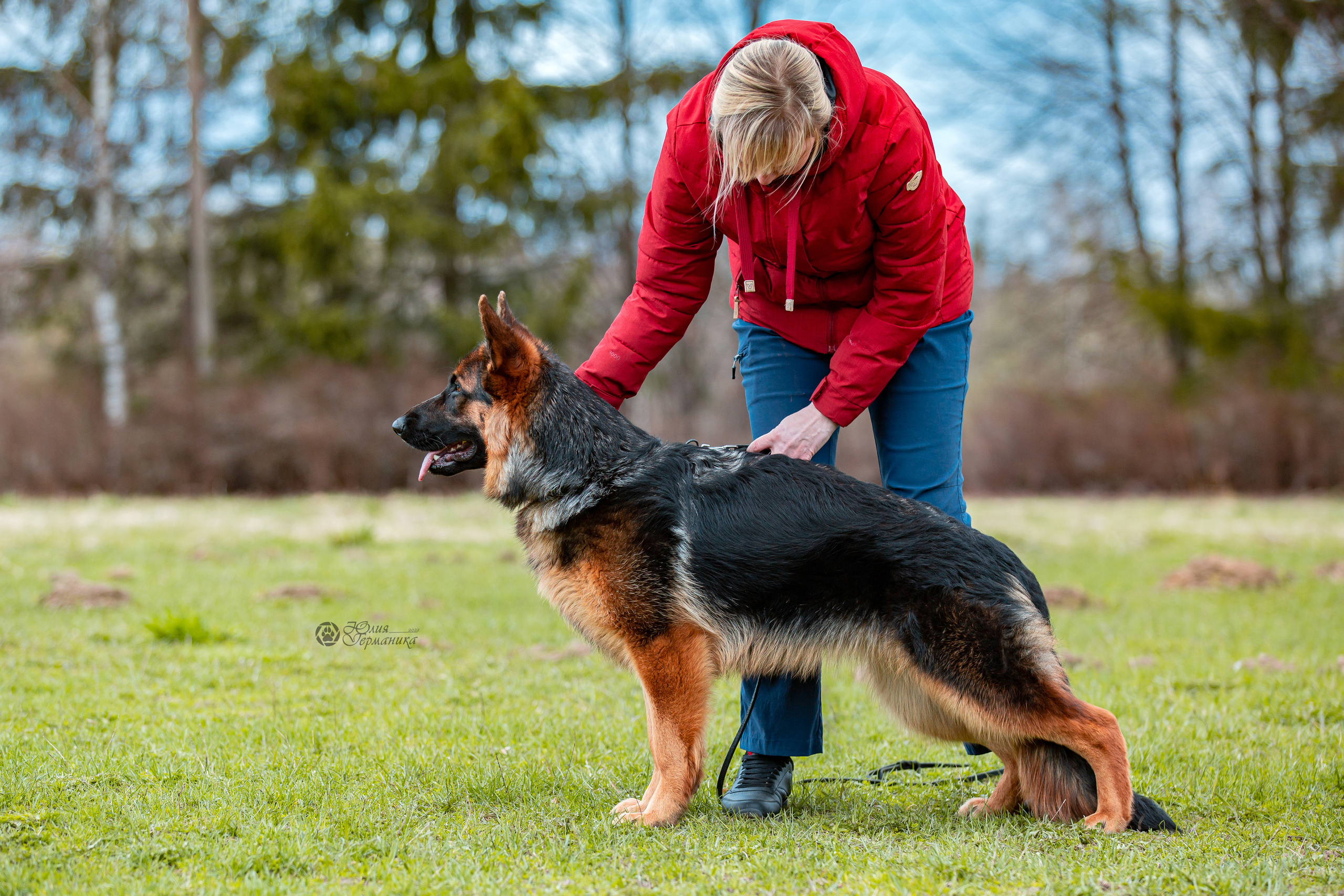 Свободная съемка. Фотограф-анималист Юлия Германика