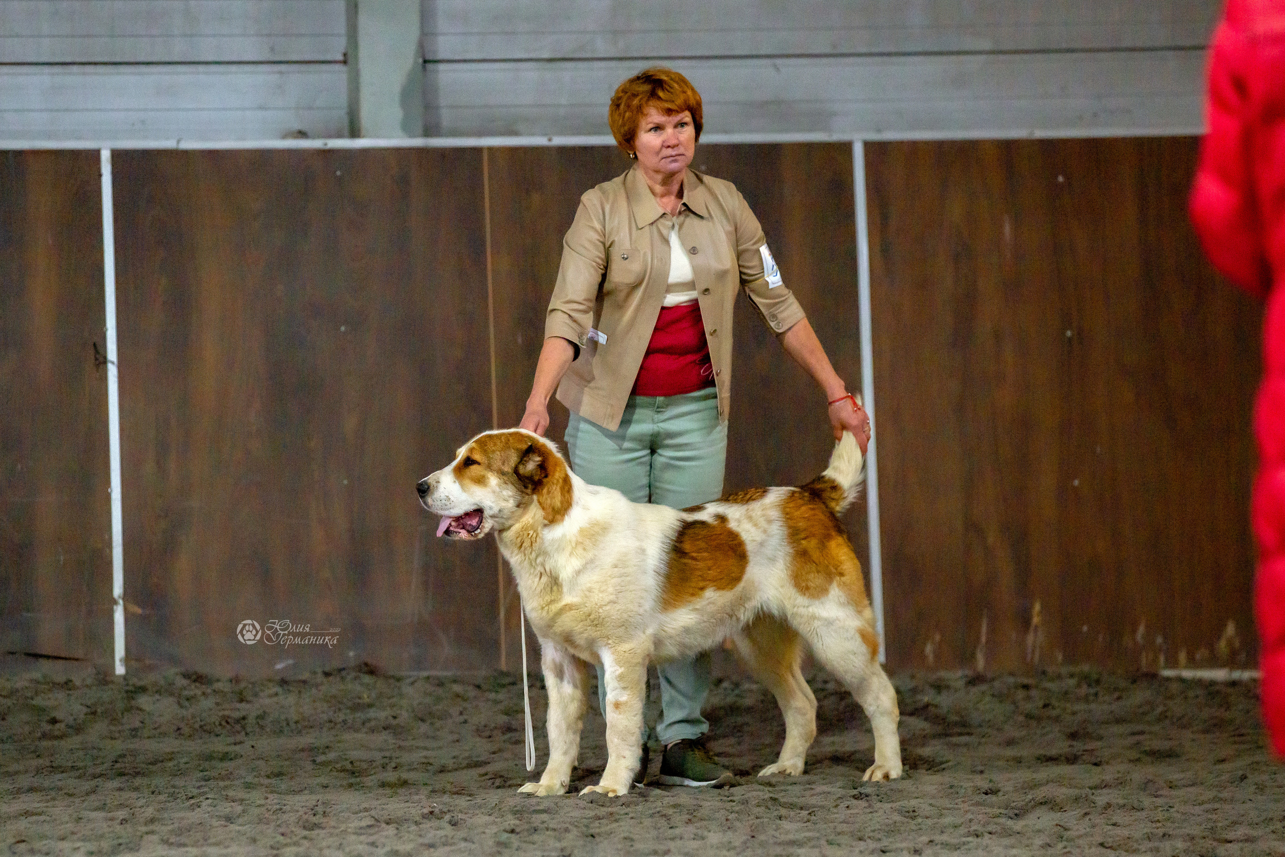 Националка САО+КЧК 24 апреля 2022. Фотограф-анималист Юлия Германика