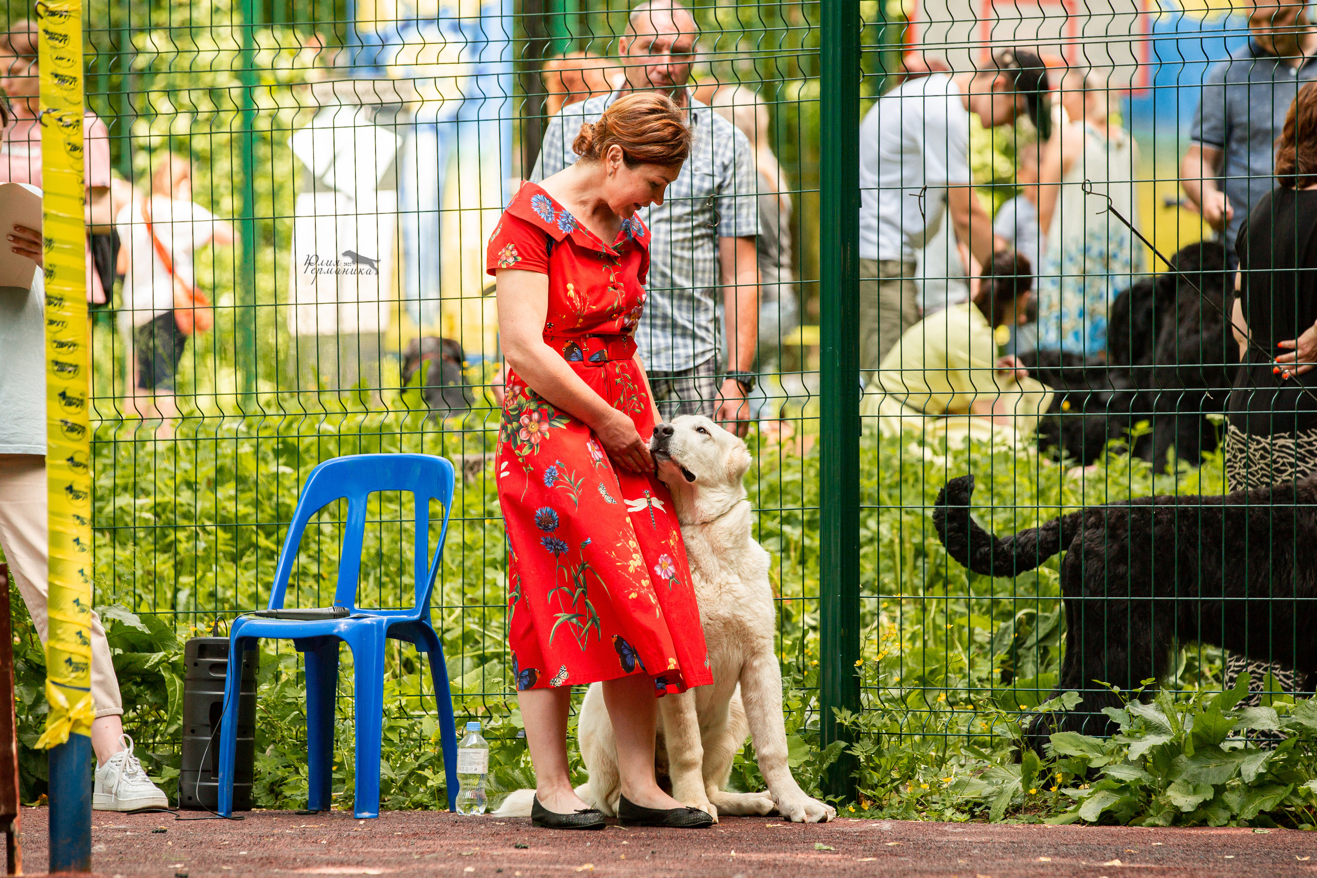 Сергиев Посад 2хСАС 25.06.2022. Фотограф-анималист Юлия Германика