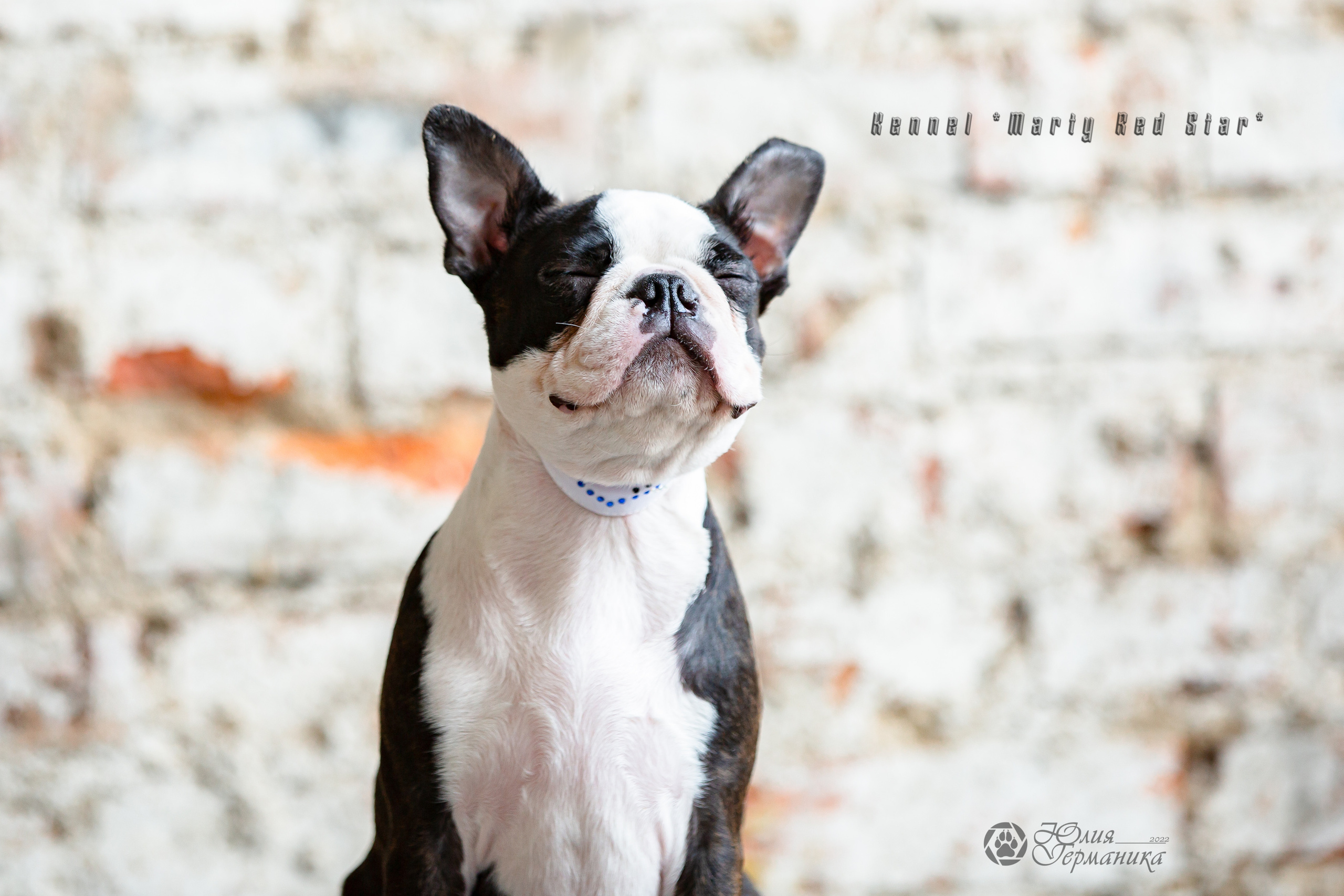 Сергиев Посад 23.04.2022. Фотограф-анималист Юлия Германика