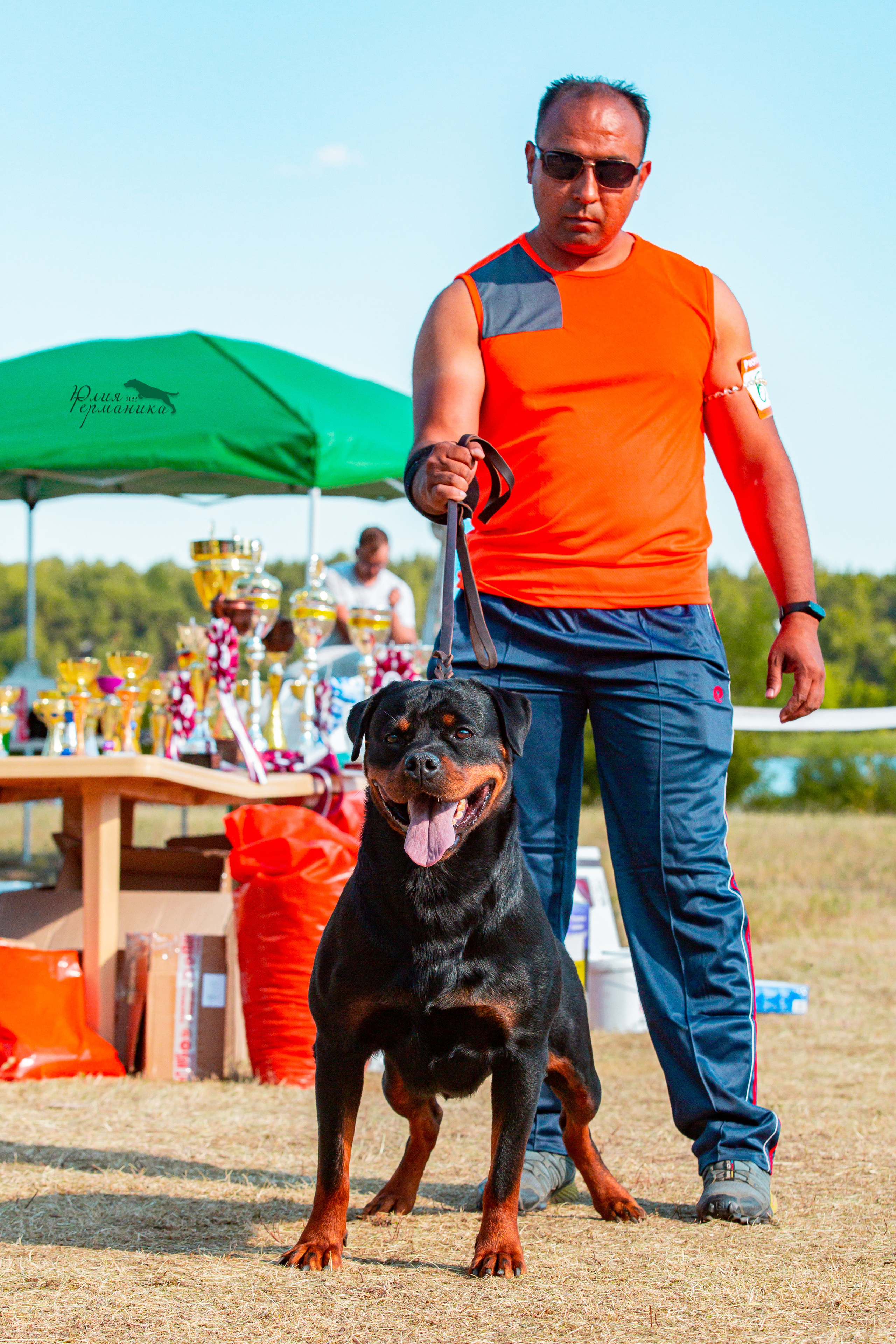 Тверь моно ротвейлеров 2-3.07.2022. Фотограф-анималист Юлия Германика