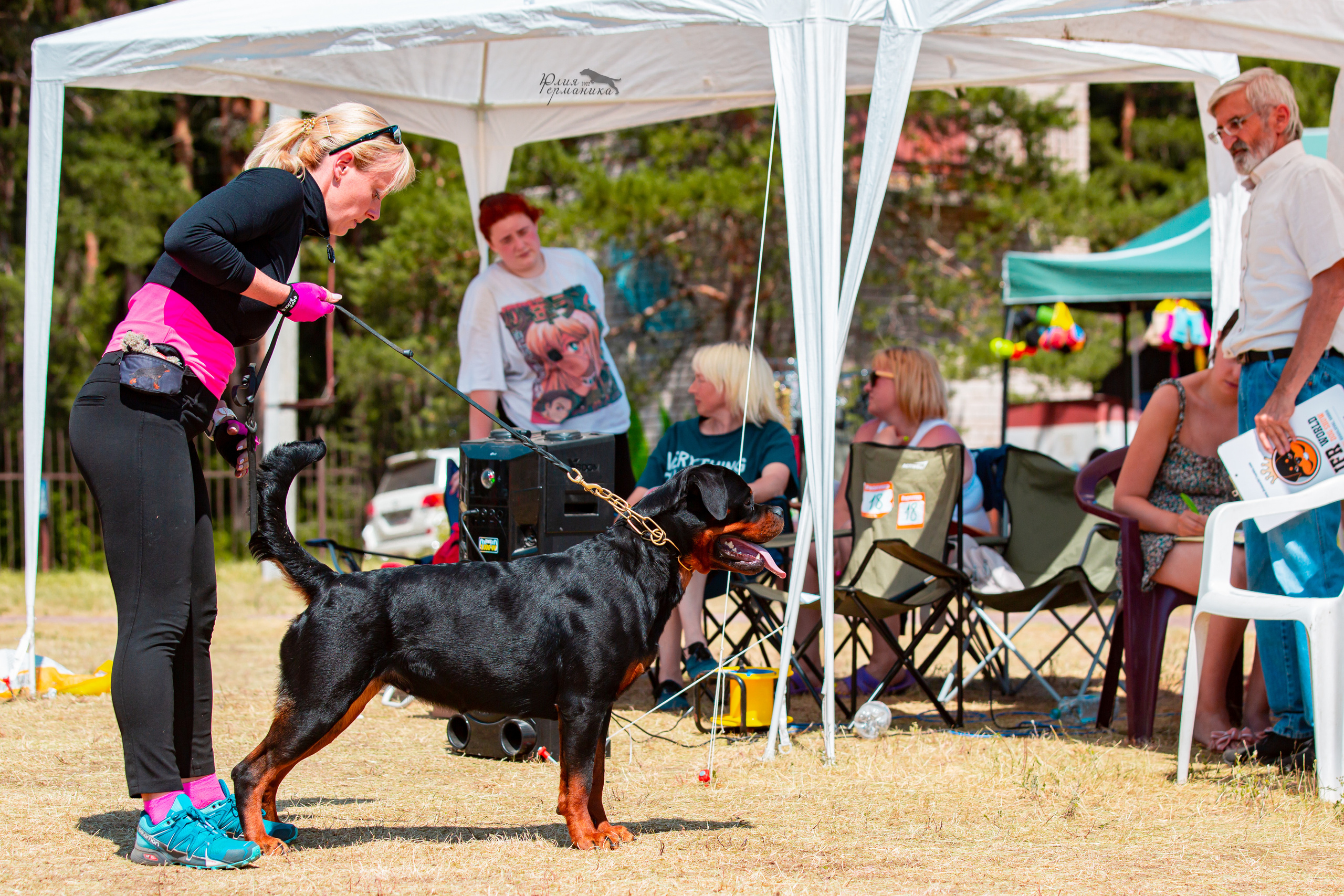 Тверь моно ротвейлеров 2-3.07.2022. Фотограф-анималист Юлия Германика