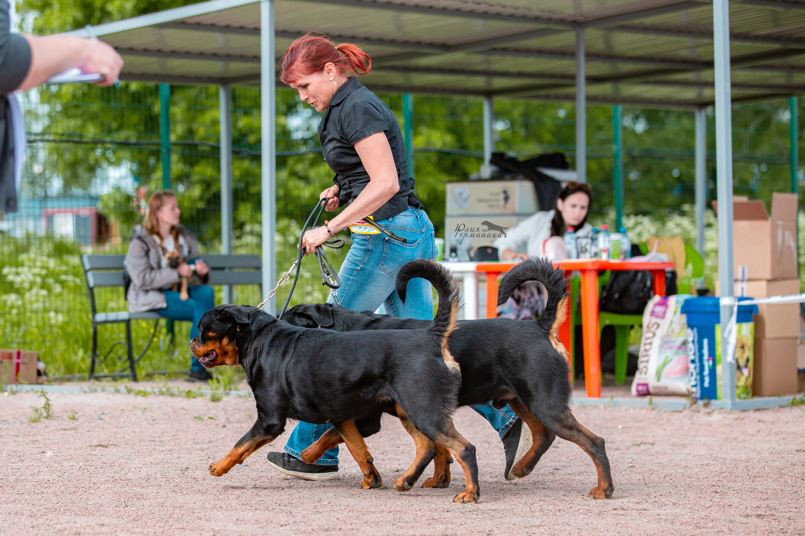 Смоленск 12.06,   Ховрино 13.06,    Питер 18.06 2022. Фотограф-анималист Юлия Германика