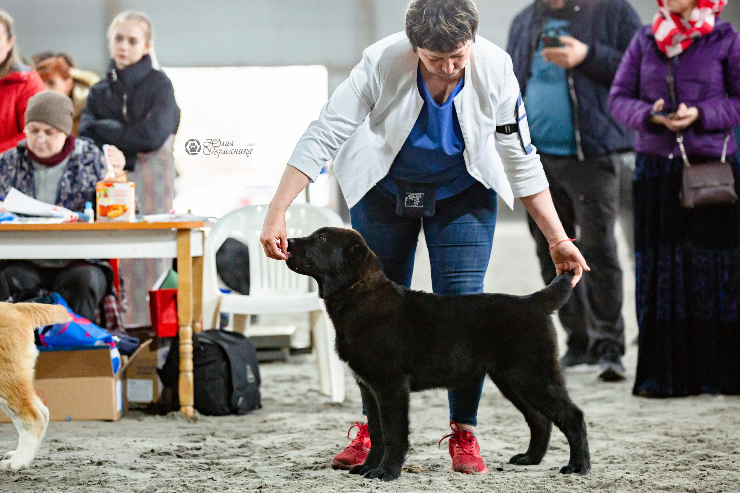 Националка САО+КЧК 24 апреля 2022. Фотограф-анималист Юлия Германика