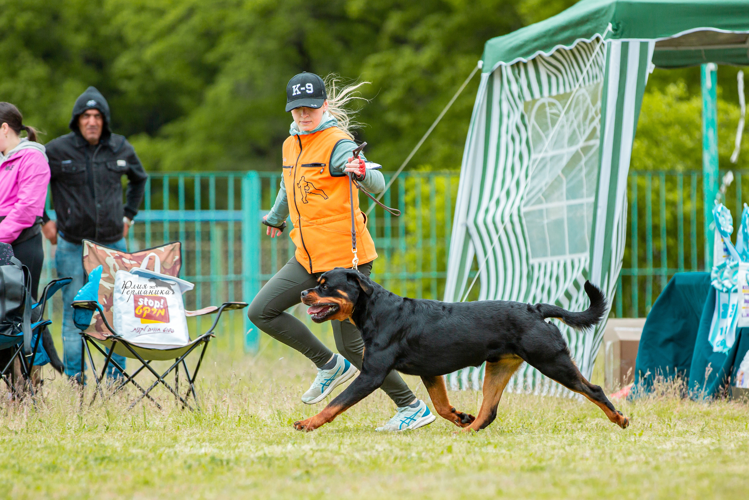 Воронеж моно ротвейлеров 28-29 мая 2022. Фотограф-анималист Юлия Германика