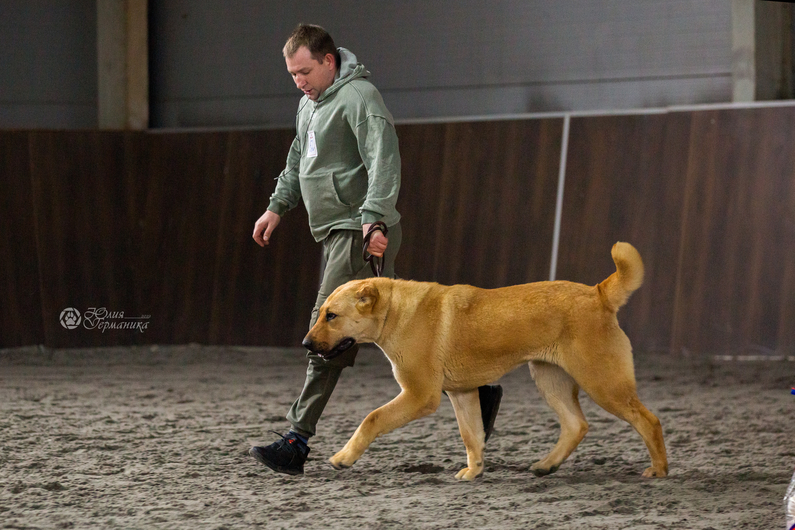 Националка САО+КЧК 24 апреля 2022. Фотограф-анималист Юлия Германика