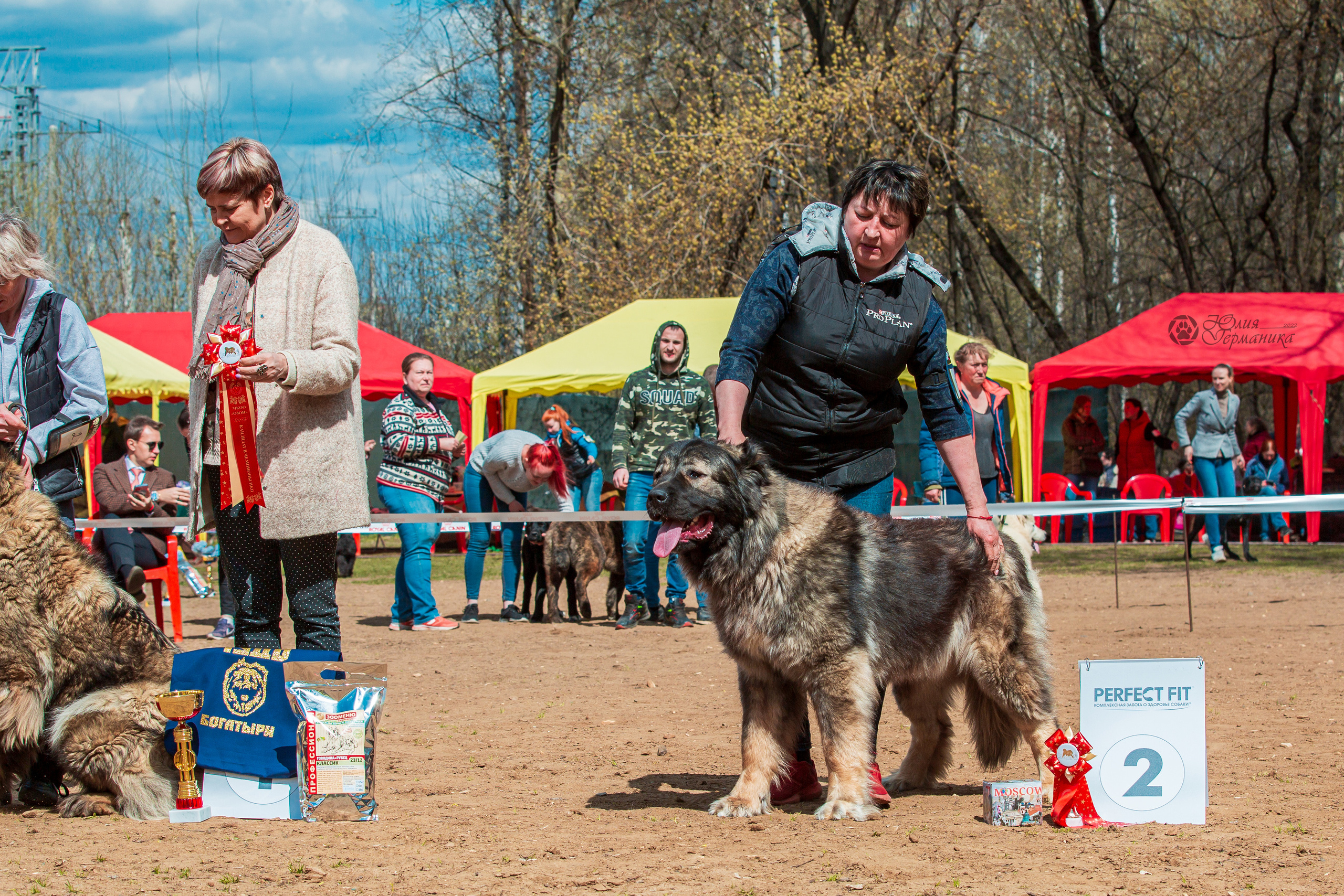 Сокольники 1 мая 2022. Фотограф-анималист Юлия Германика