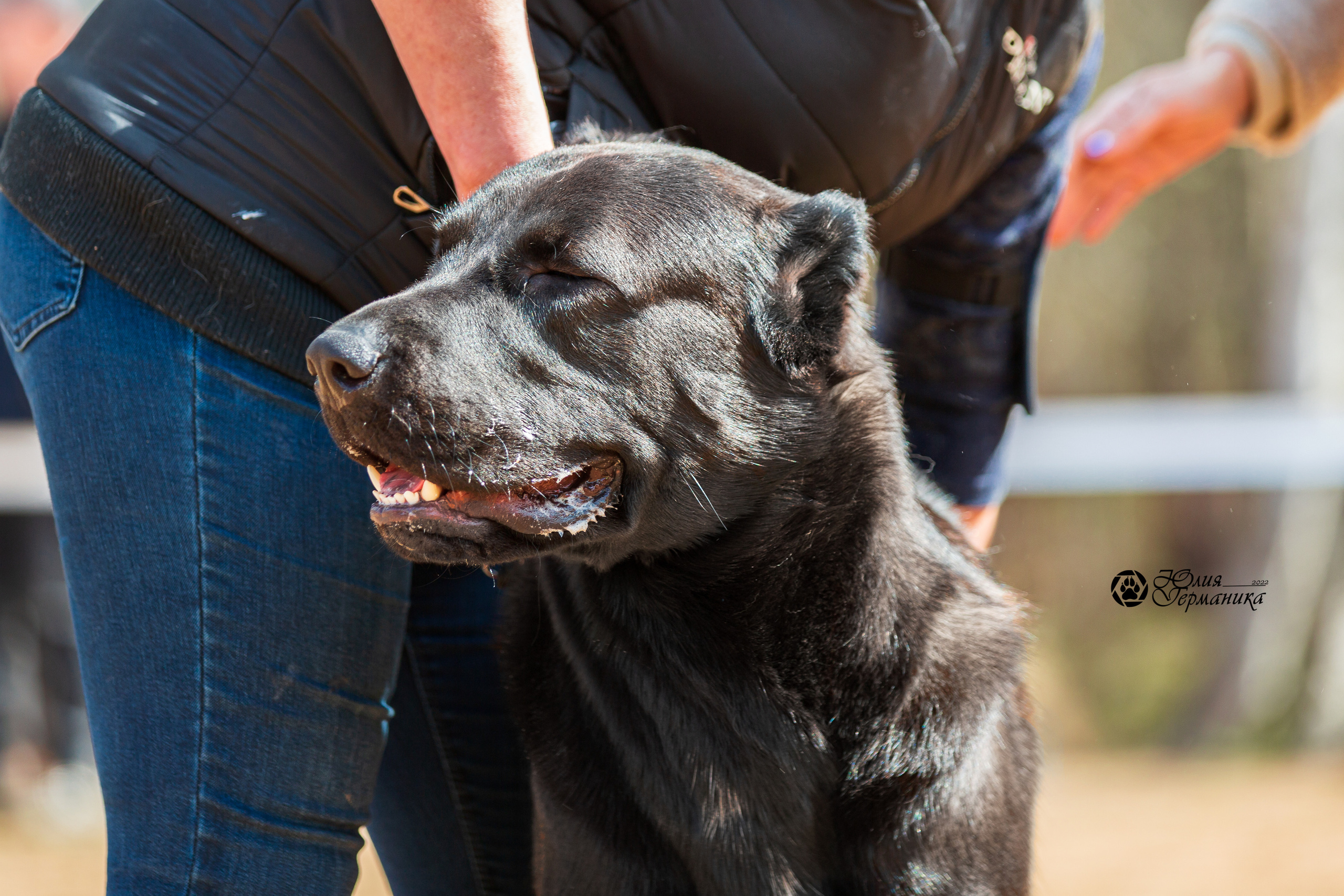 Сокольники 1 мая 2022. Фотограф-анималист Юлия Германика