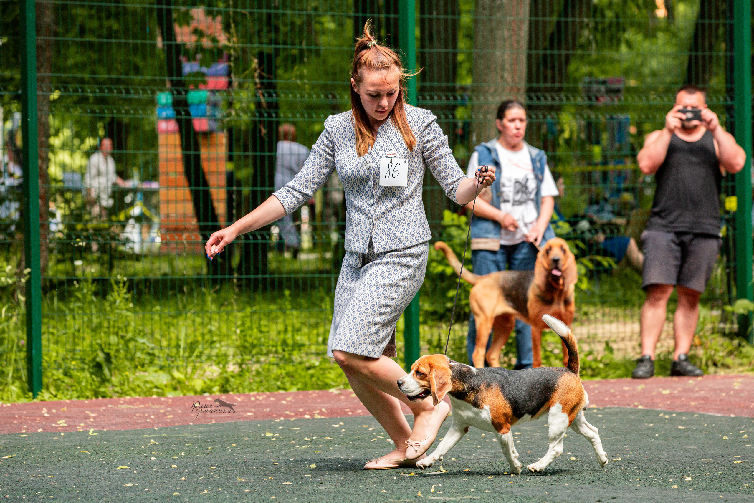 Сергиев Посад 2хСАС 25.06.2022. Фотограф-анималист Юлия Германика