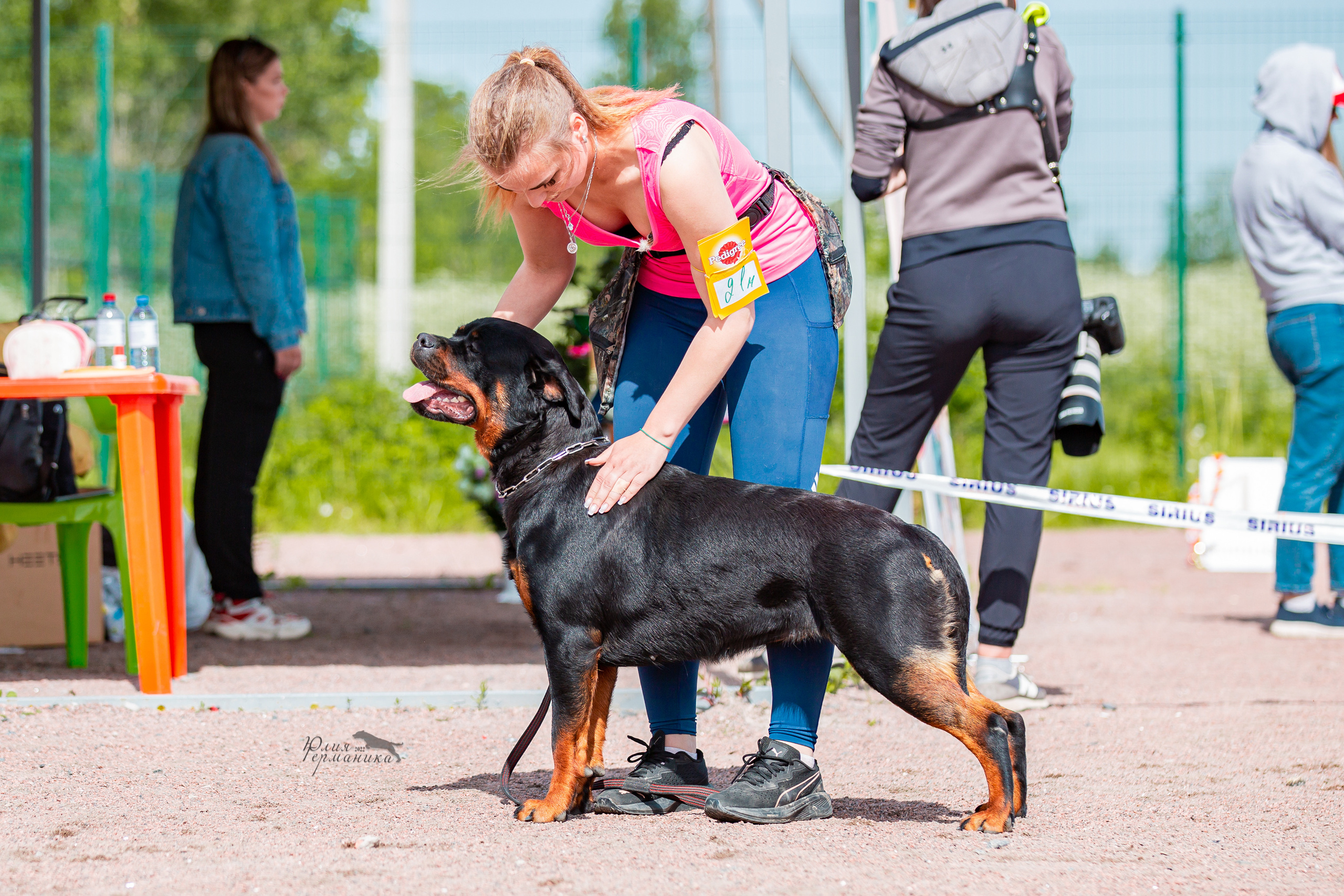 Смоленск 12.06,   Ховрино 13.06,    Питер 18.06 2022. Фотограф-анималист Юлия Германика