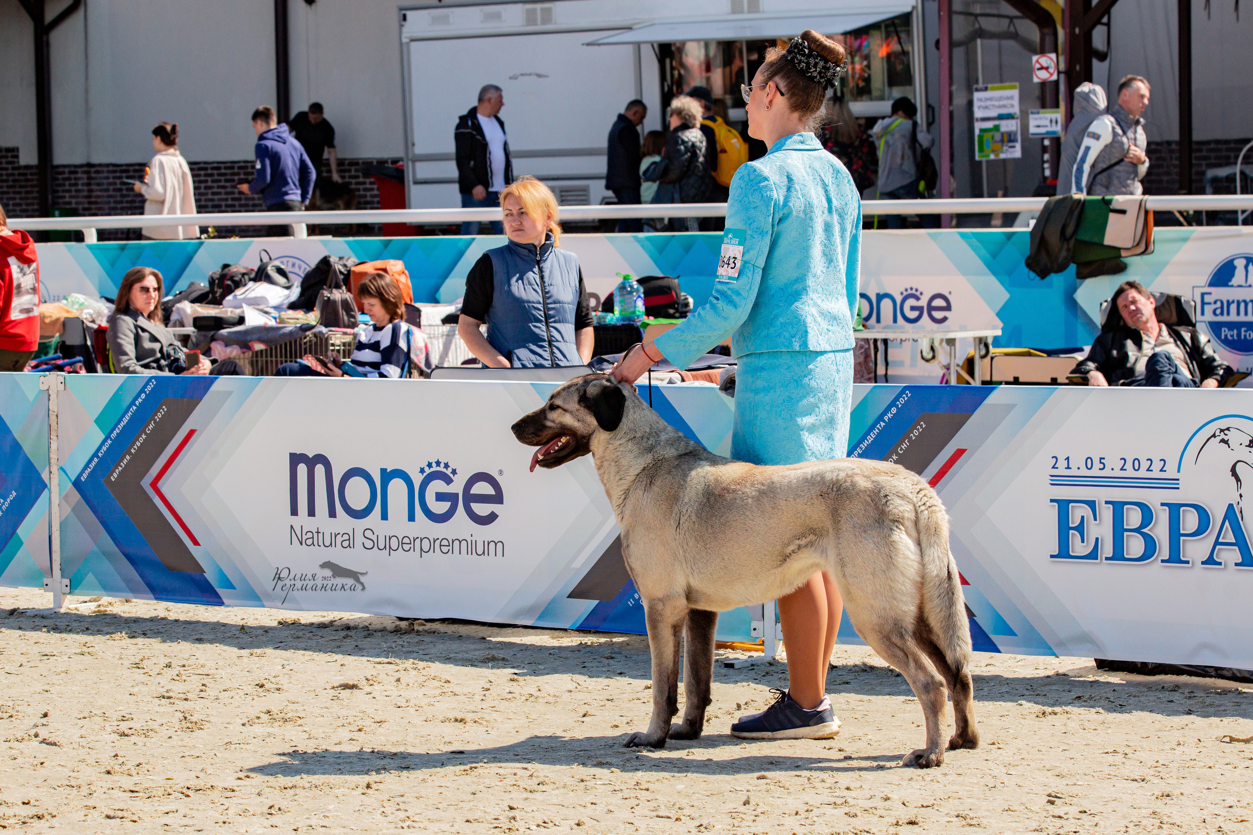 Евразия 21-22 мая 2022. Фотограф-анималист Юлия Германика