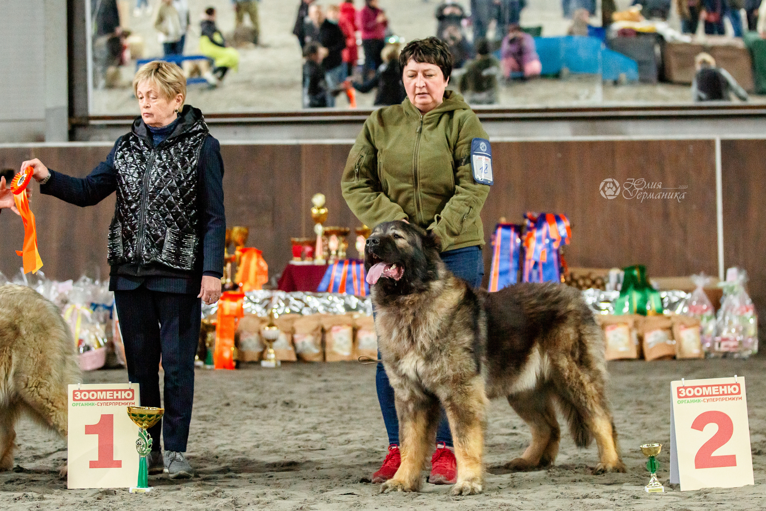 Националка САО+КЧК 24 апреля 2022. Фотограф-анималист Юлия Германика