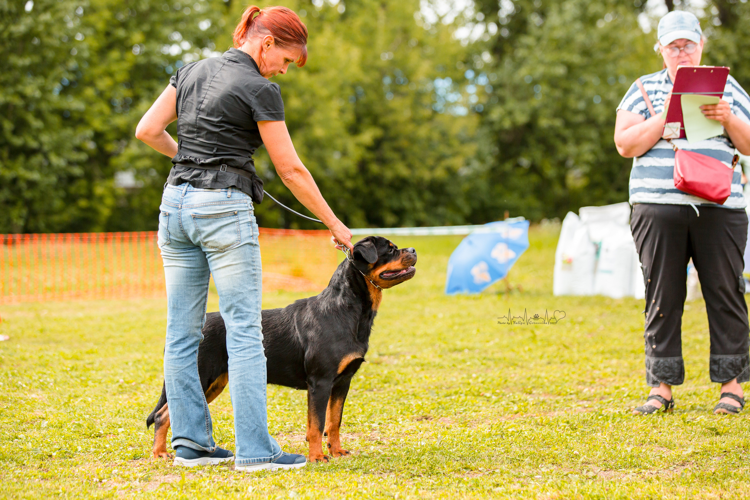 Санкт-Петербург моно ротвейлеров 23.07.2022. Фотограф-анималист Юлия Германика