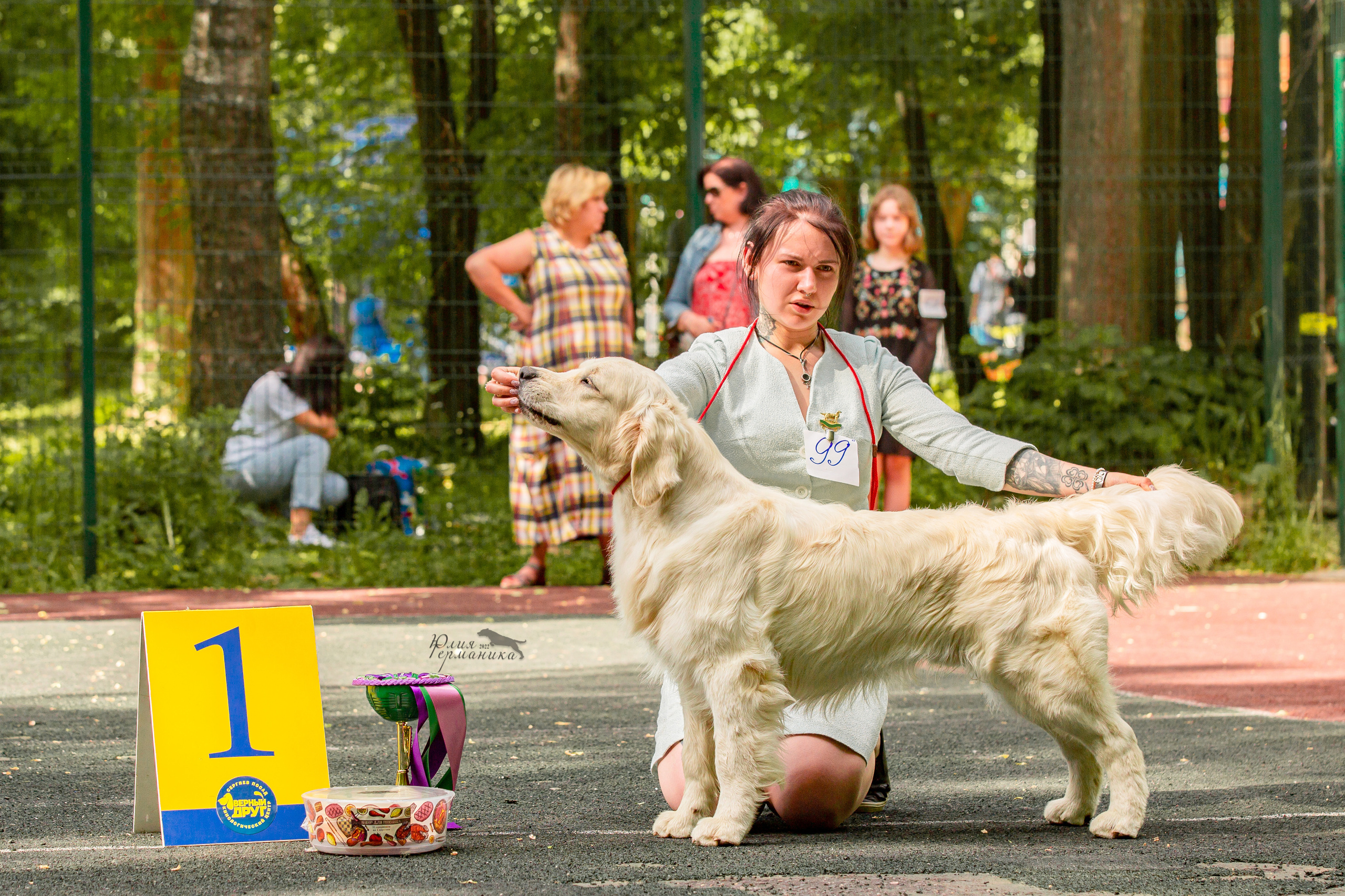 Сергиев Посад 2хСАС 25.06.2022. Фотограф-анималист Юлия Германика