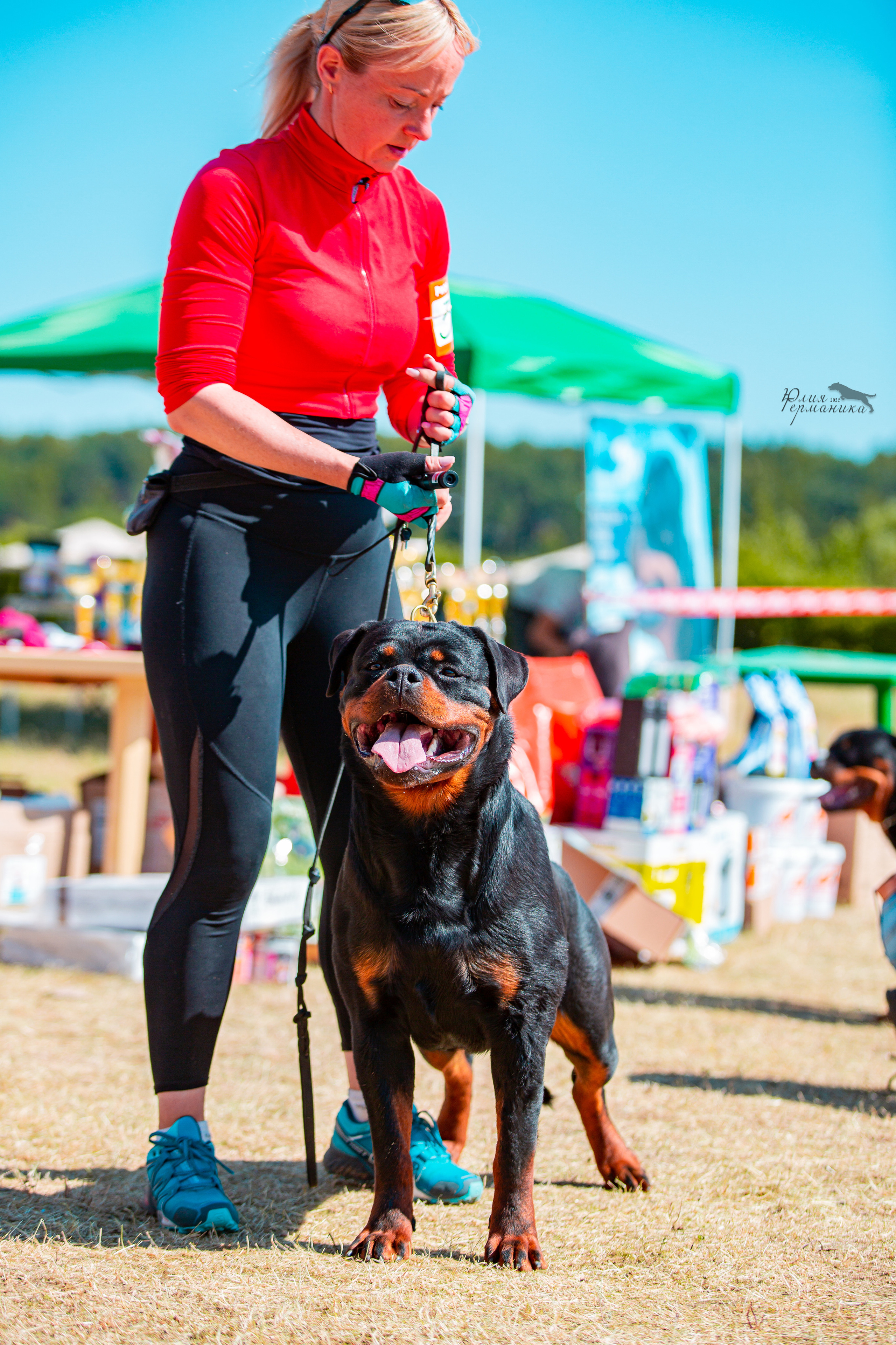 Тверь моно ротвейлеров 2-3.07.2022. Фотограф-анималист Юлия Германика