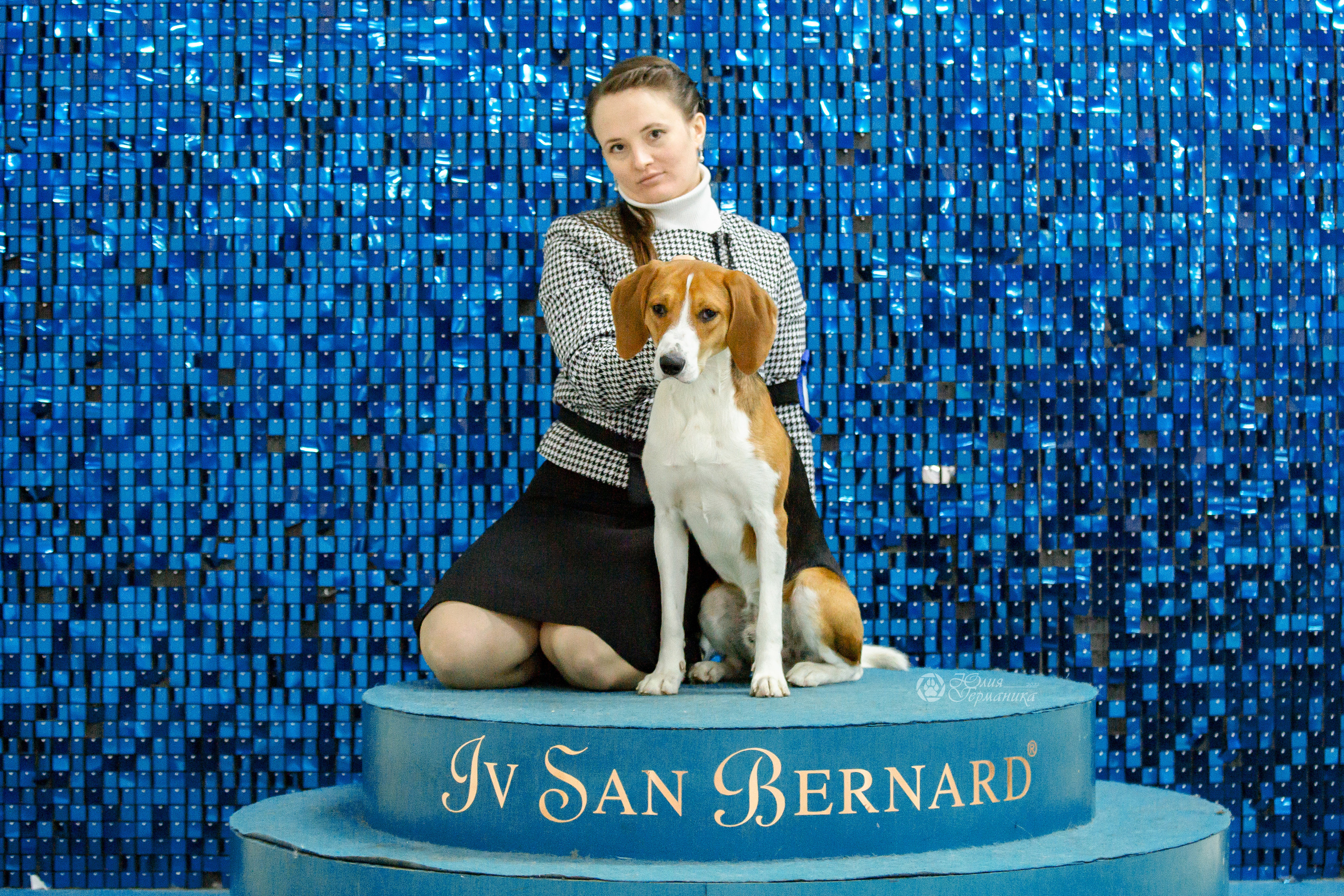 Чайна-Таун 16-17 апреля 2022. Фотограф-анималист Юлия Германика