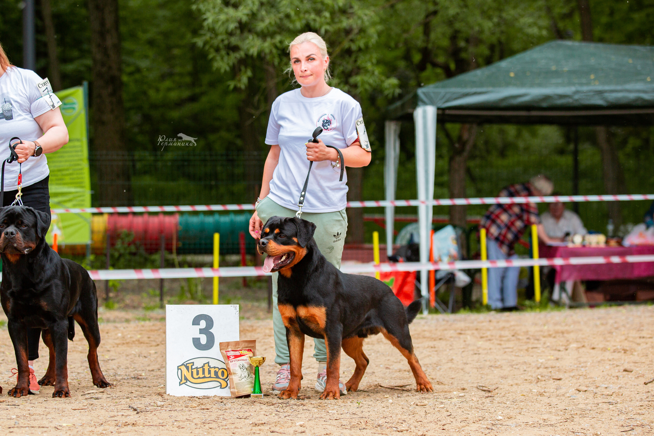 Смоленск 12.06,   Ховрино 13.06,    Питер 18.06 2022. Фотограф-анималист Юлия Германика