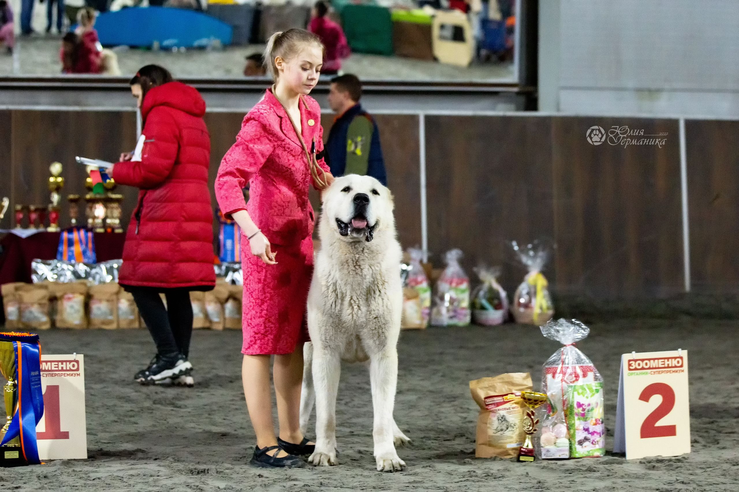 Националка САО+КЧК 24 апреля 2022. Фотограф-анималист Юлия Германика