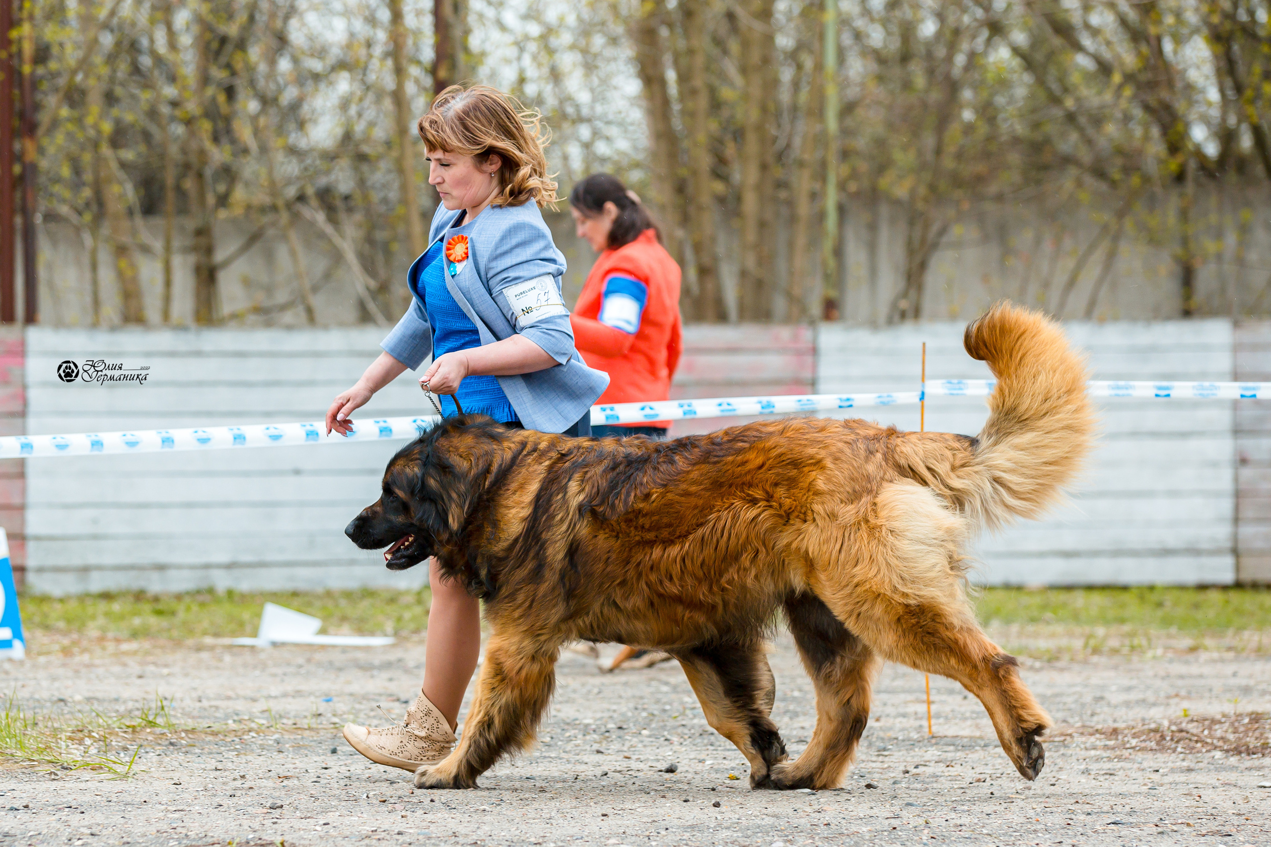 Александров 2хСАС 8 мая 2022. Фотограф-анималист Юлия Германика