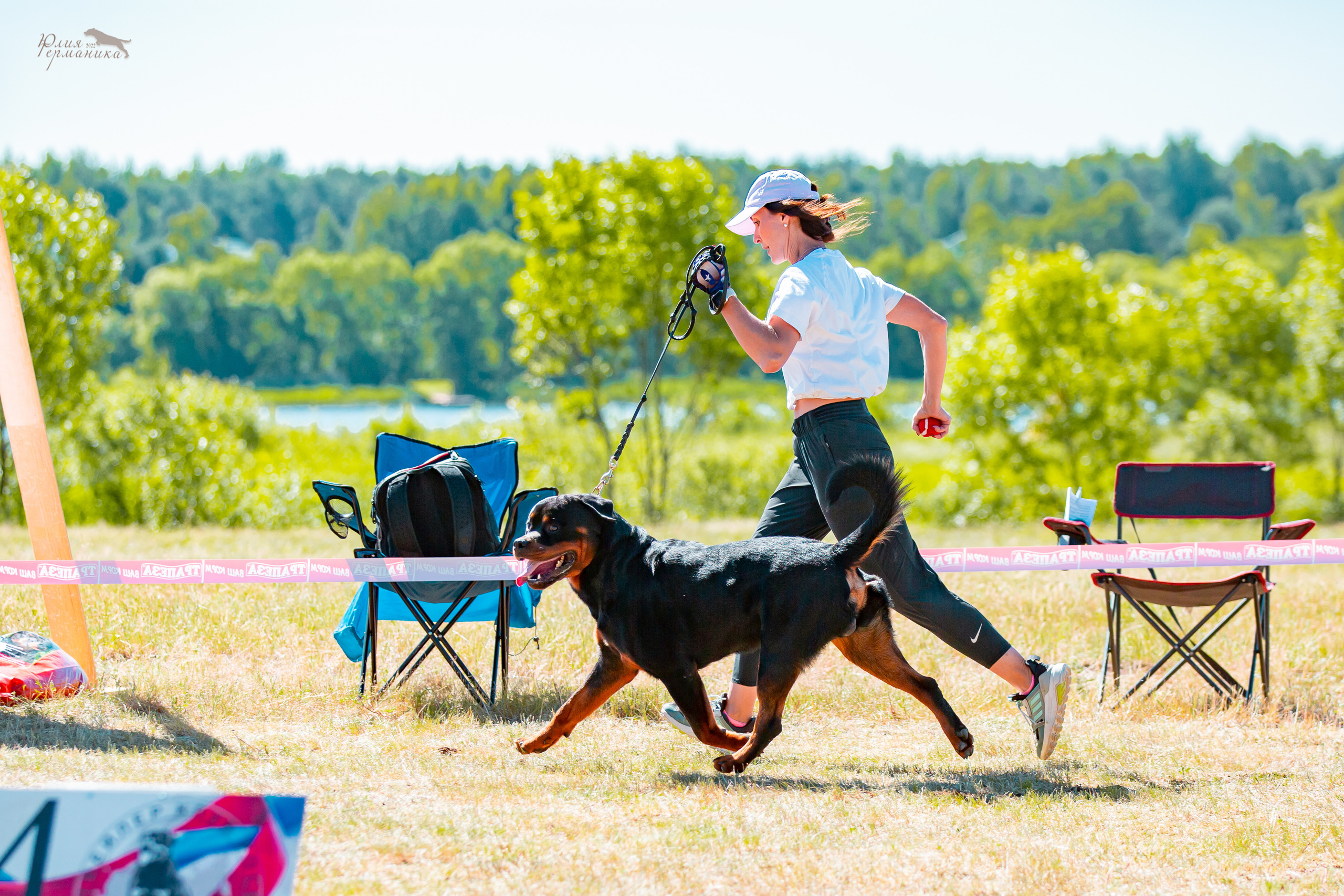 Тверь моно ротвейлеров 2-3.07.2022. Фотограф-анималист Юлия Германика