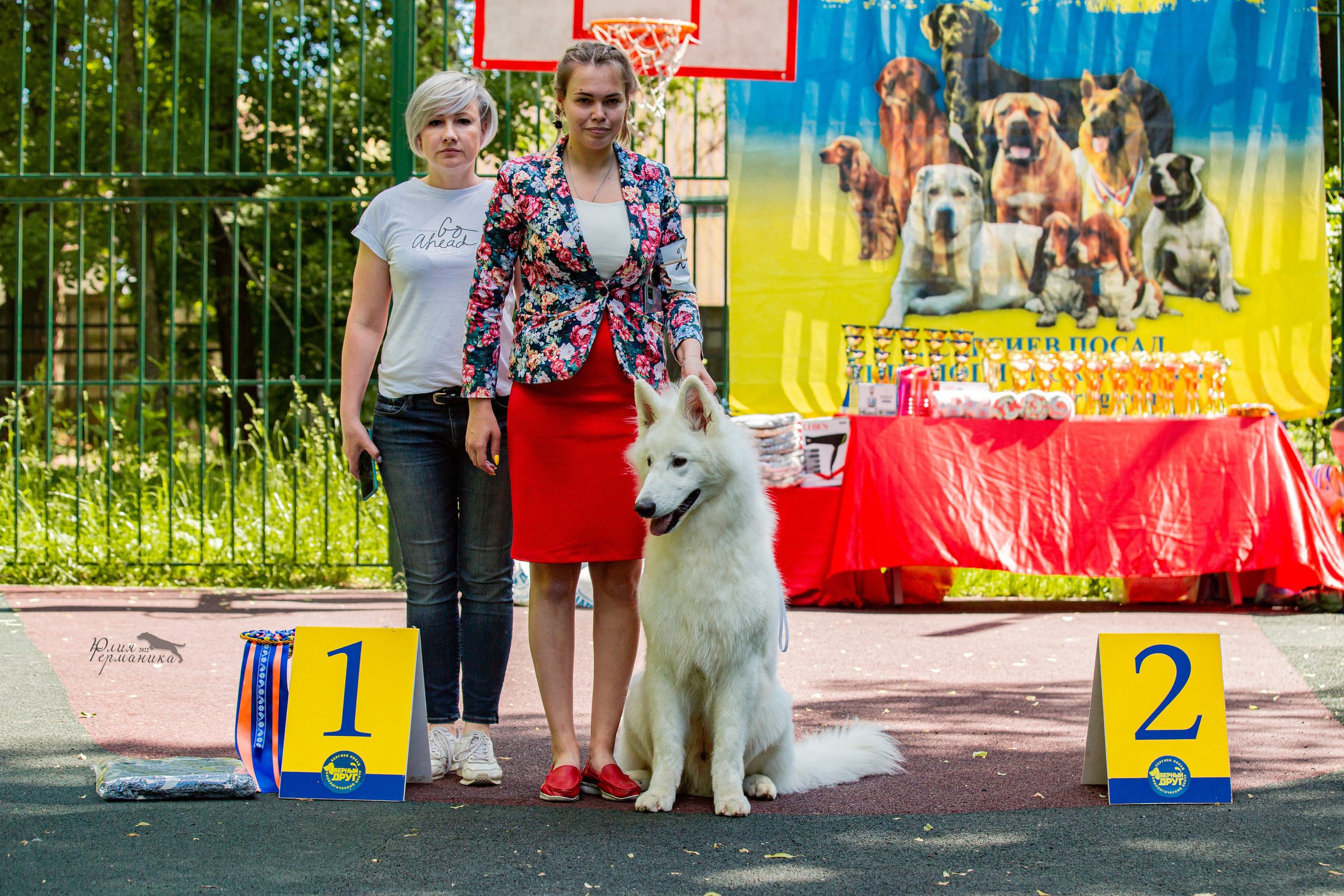 Сергиев Посад 2хСАС 25.06.2022. Фотограф-анималист Юлия Германика