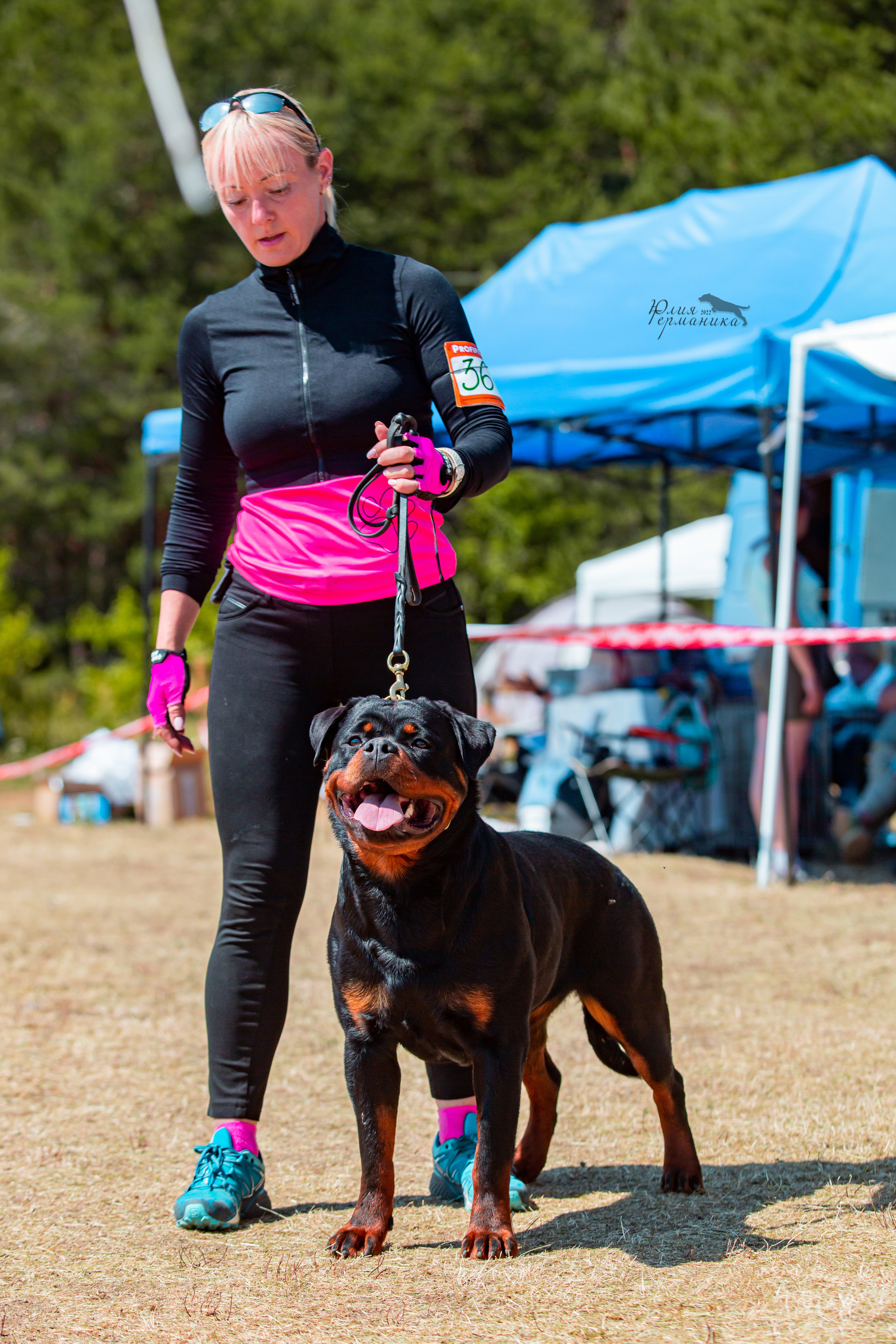 Тверь моно ротвейлеров 2-3.07.2022. Фотограф-анималист Юлия Германика