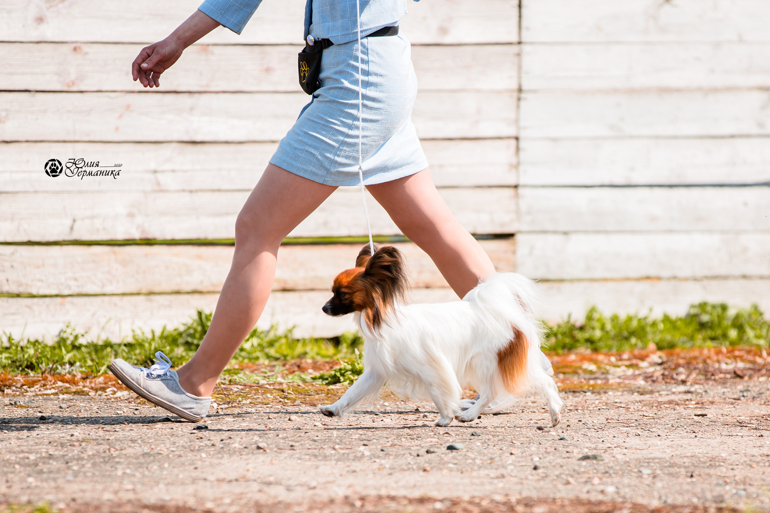 Александров 2хСАС 8 мая 2022. Фотограф-анималист Юлия Германика