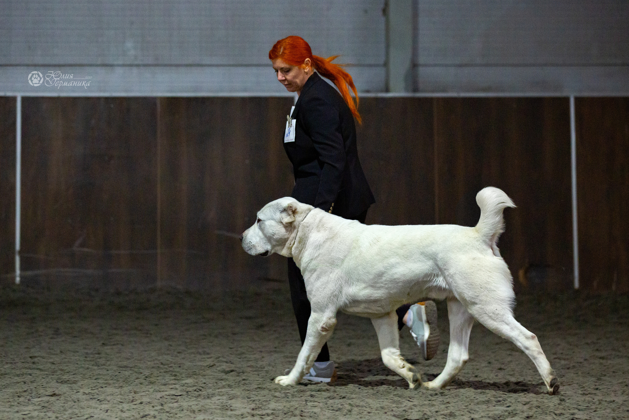 Националка САО+КЧК 24 апреля 2022. Фотограф-анималист Юлия Германика