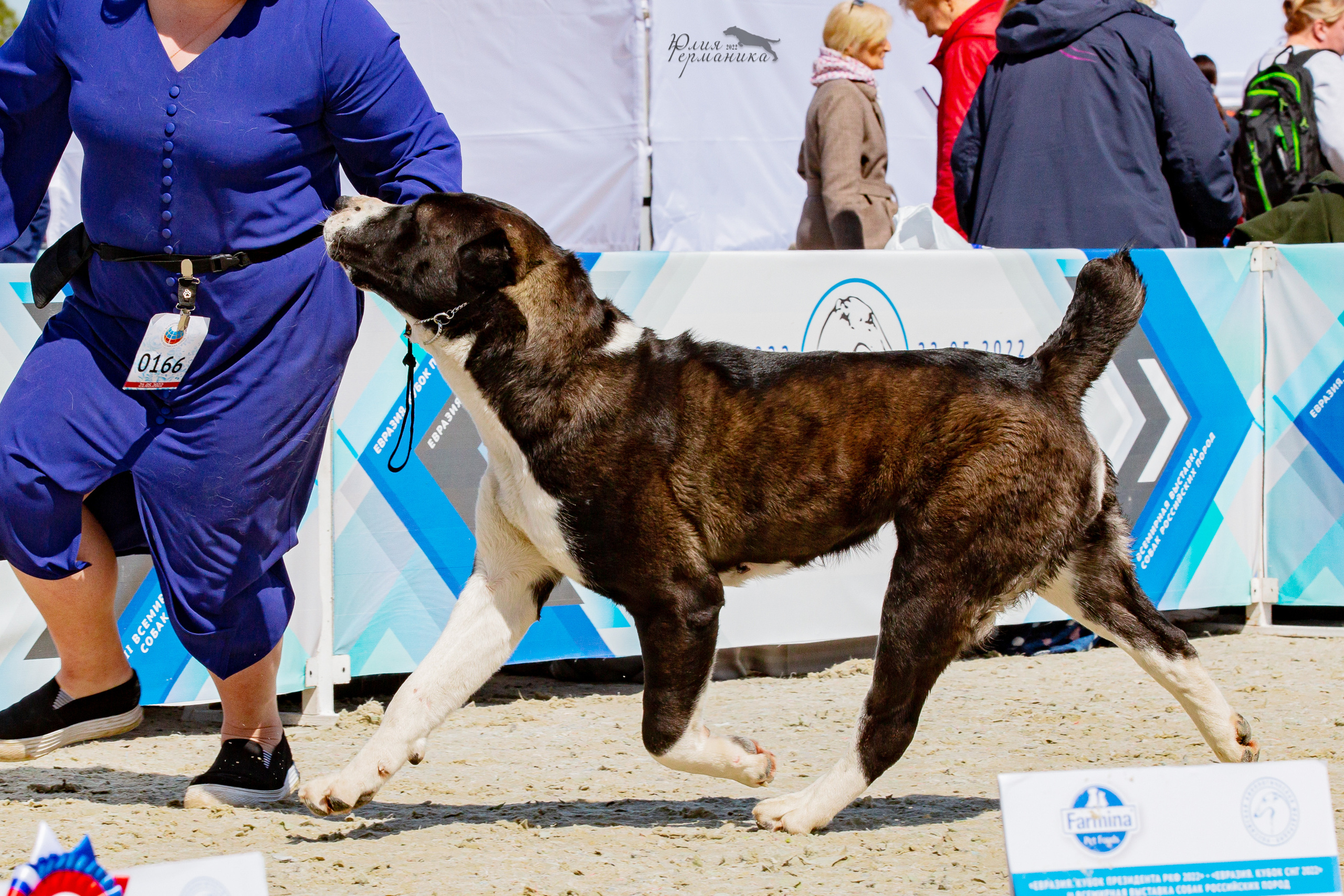 Евразия 21-22 мая 2022. Фотограф-анималист Юлия Германика