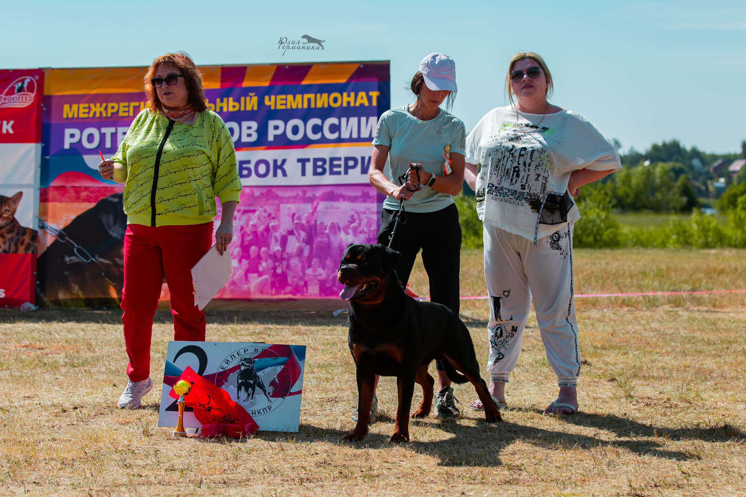 Тверь моно ротвейлеров 2-3.07.2022. Фотограф-анималист Юлия Германика