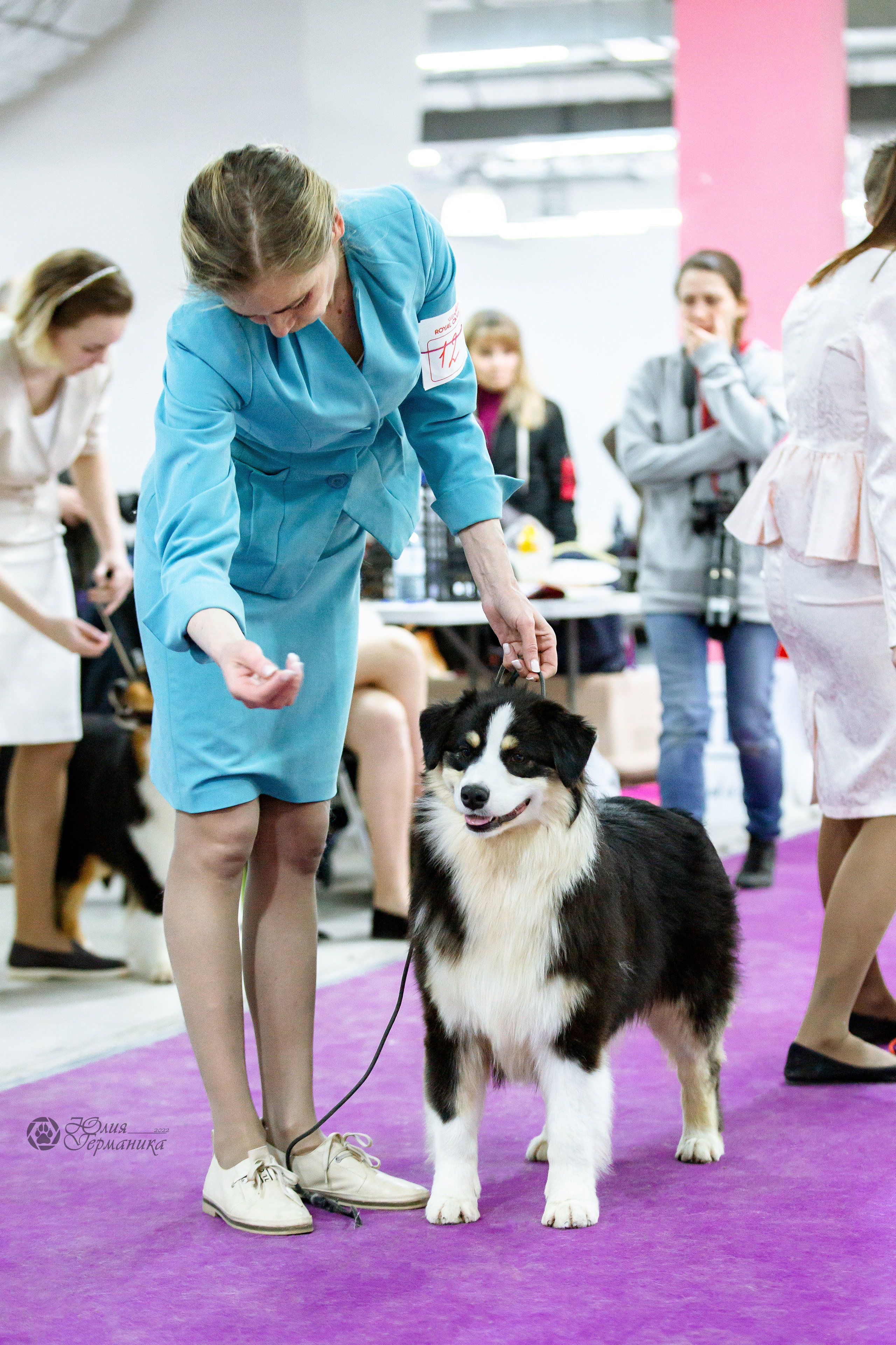 Чайна-Таун 16-17 апреля 2022. Фотограф-анималист Юлия Германика