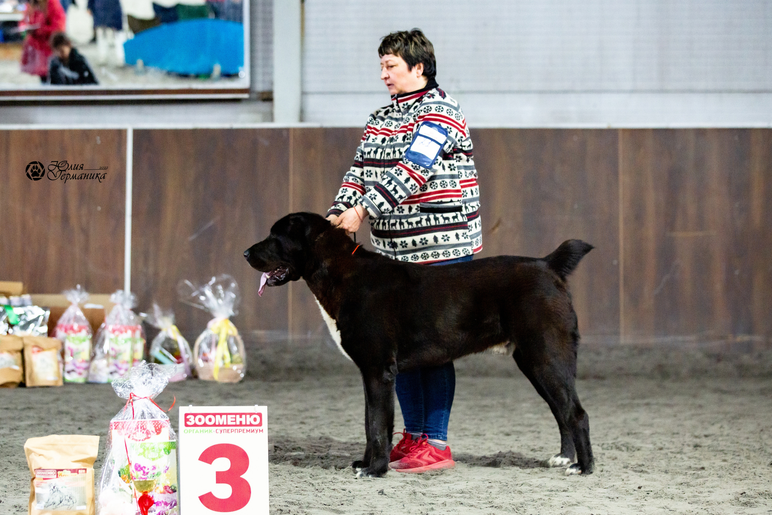 Националка САО+КЧК 24 апреля 2022. Фотограф-анималист Юлия Германика
